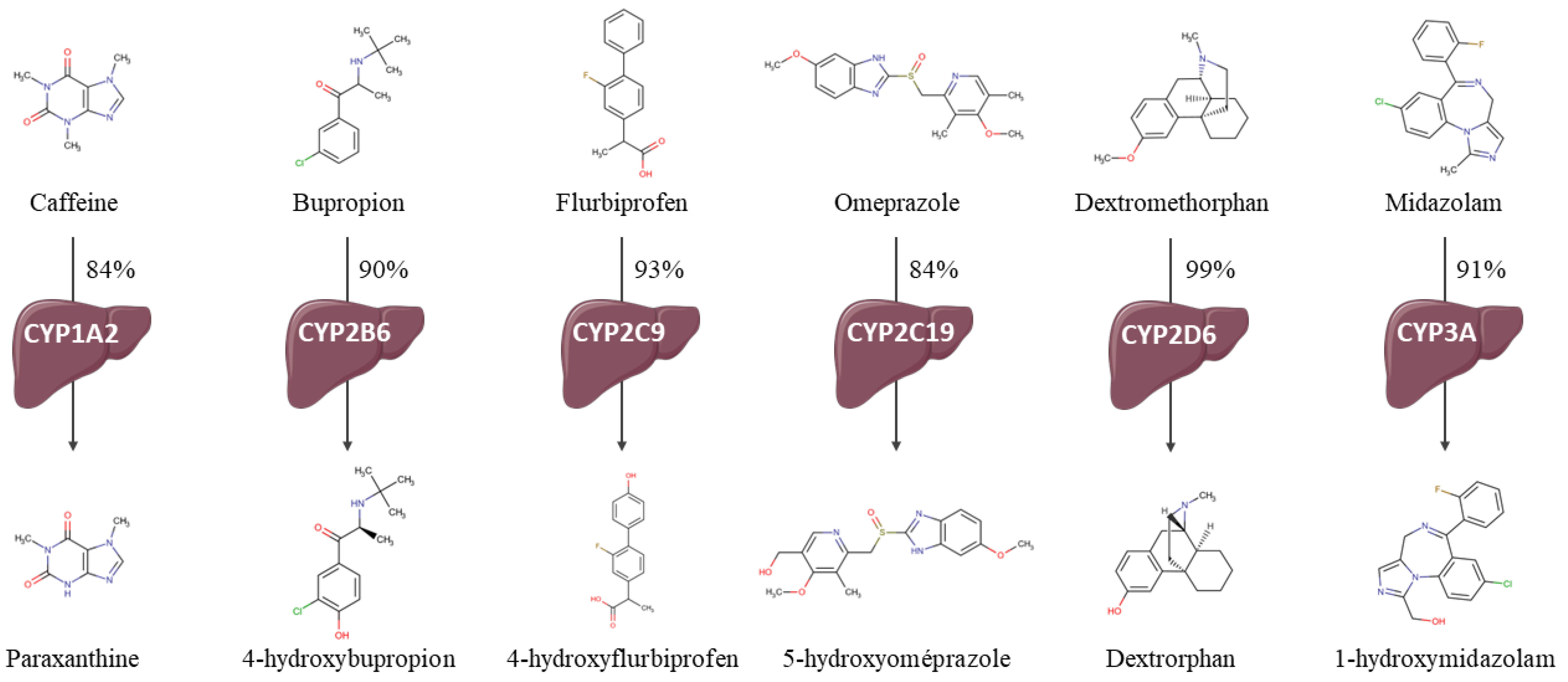 Pharmaceutics 15 00979 g0a1 Pharmaceutics 15 00979 g0a1