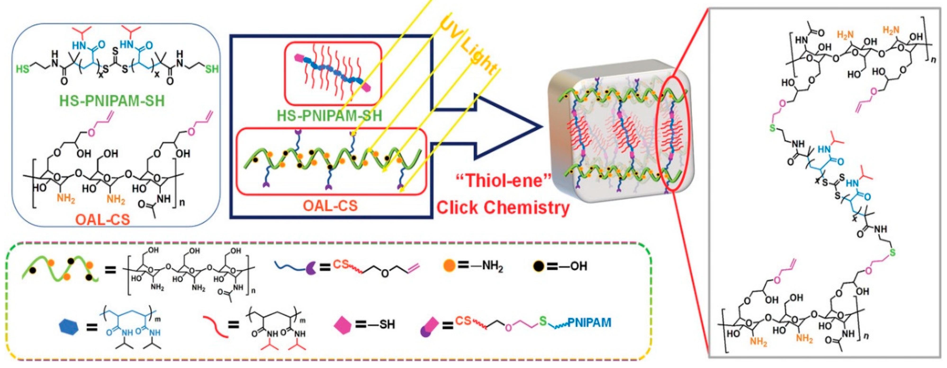 Pharmaceutics 15 00982 g003