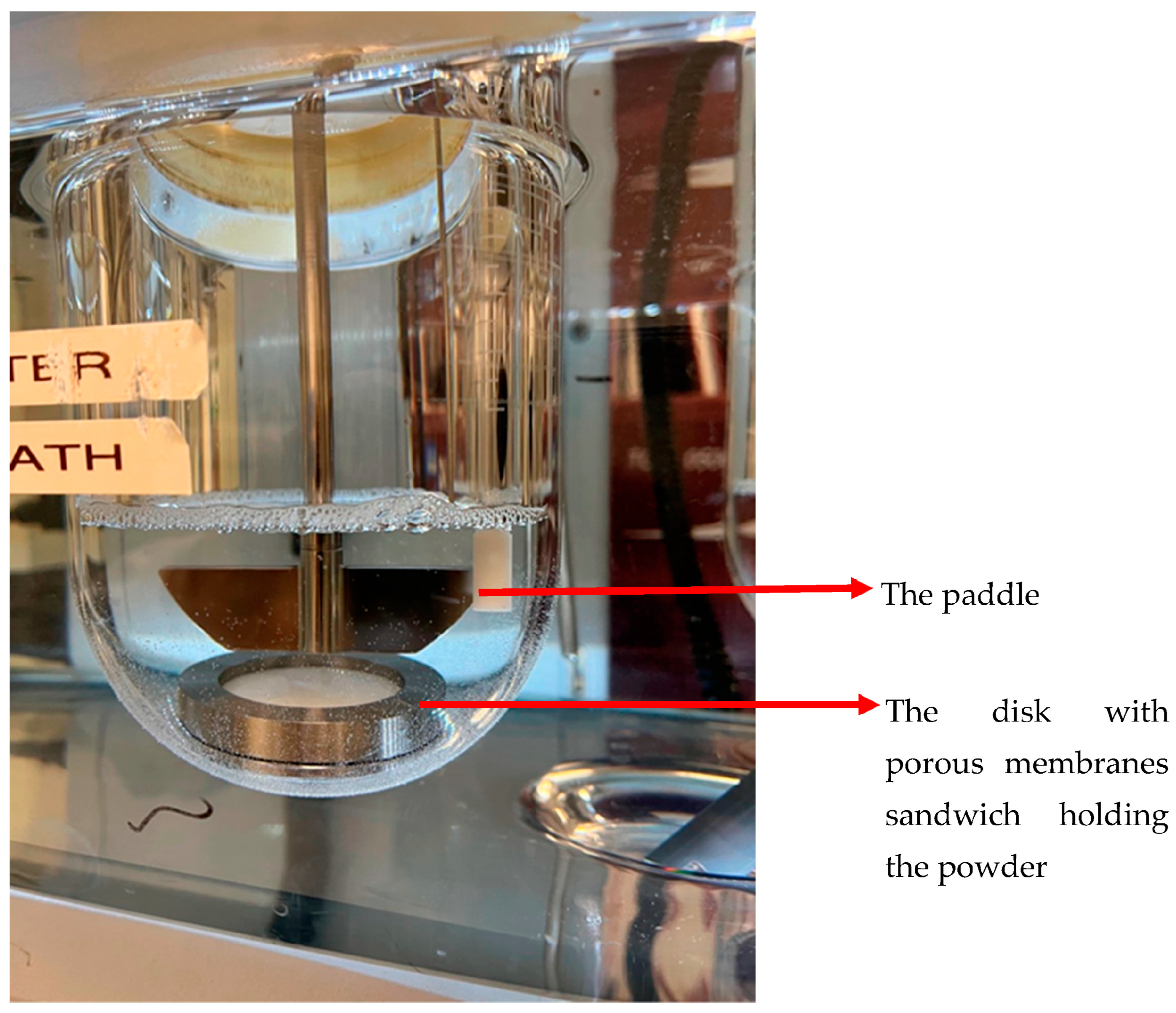 Pharmaceutics 15 00983 g003