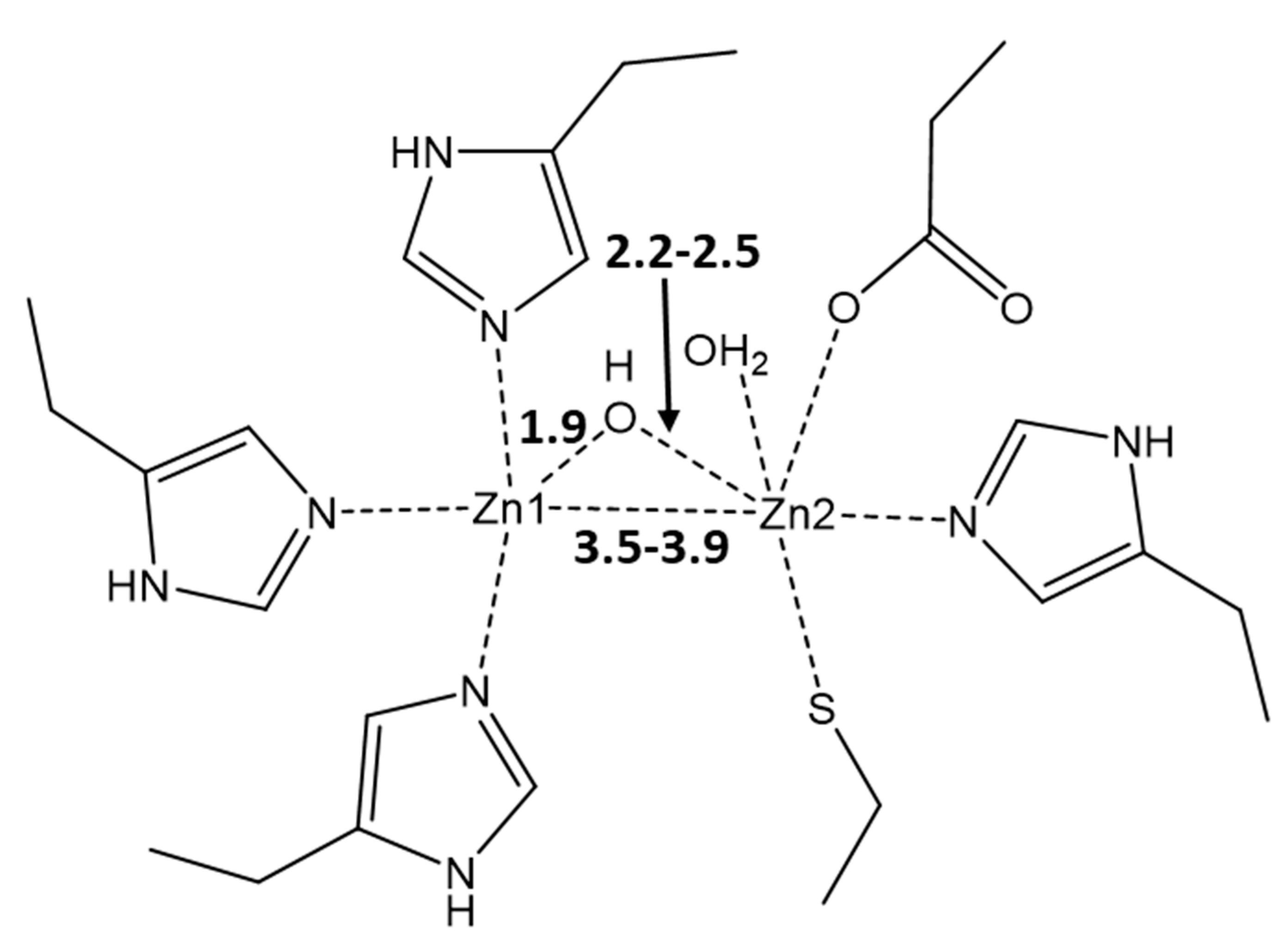 Pharmaceutics 15 00985 g001 Pharmaceutics 15 00985 g001