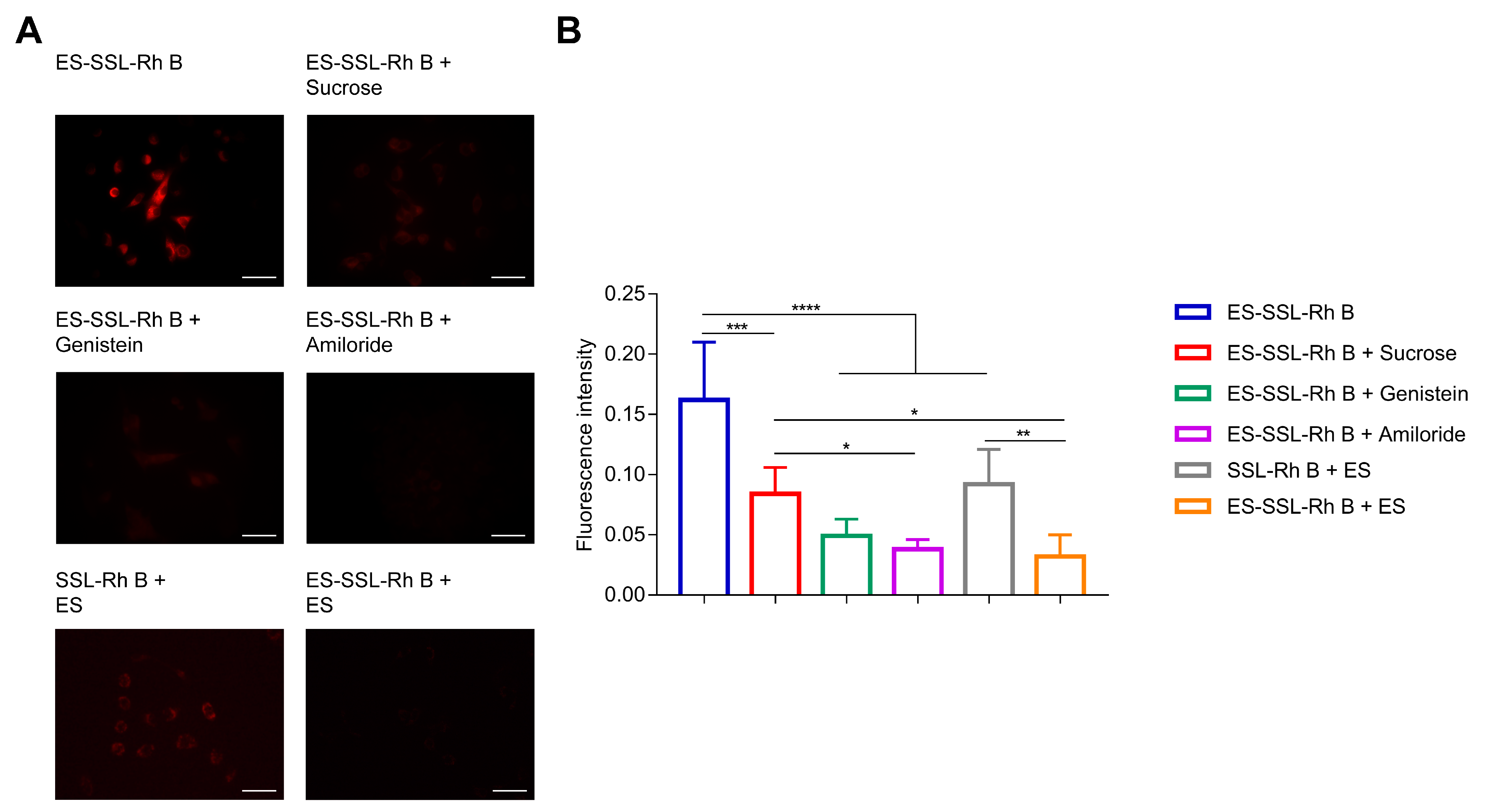 Pharmaceutics 15 00988 g007 Pharmaceutics 15 00988 g007