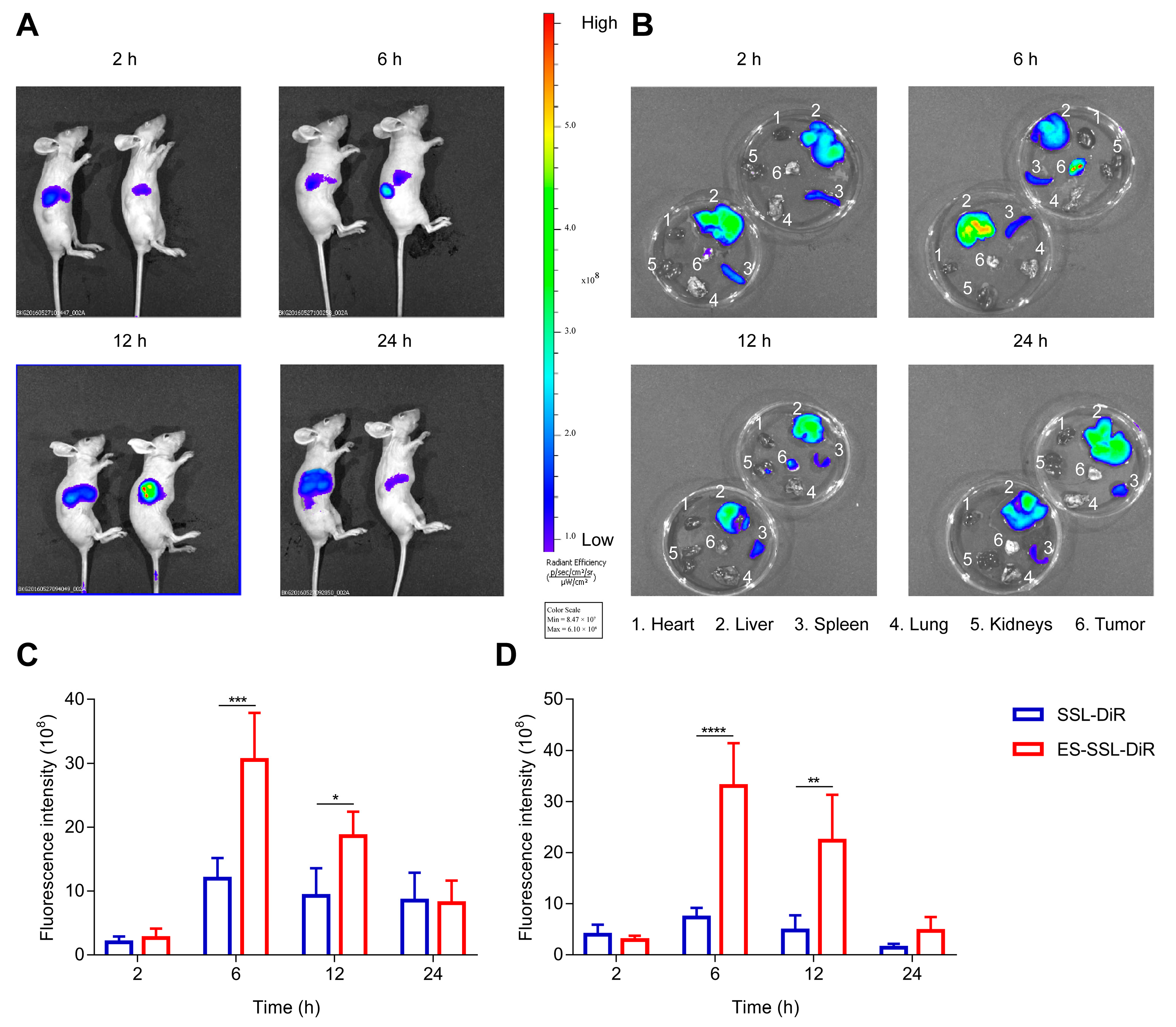 Pharmaceutics 15 00988 g008 Pharmaceutics 15 00988 g008