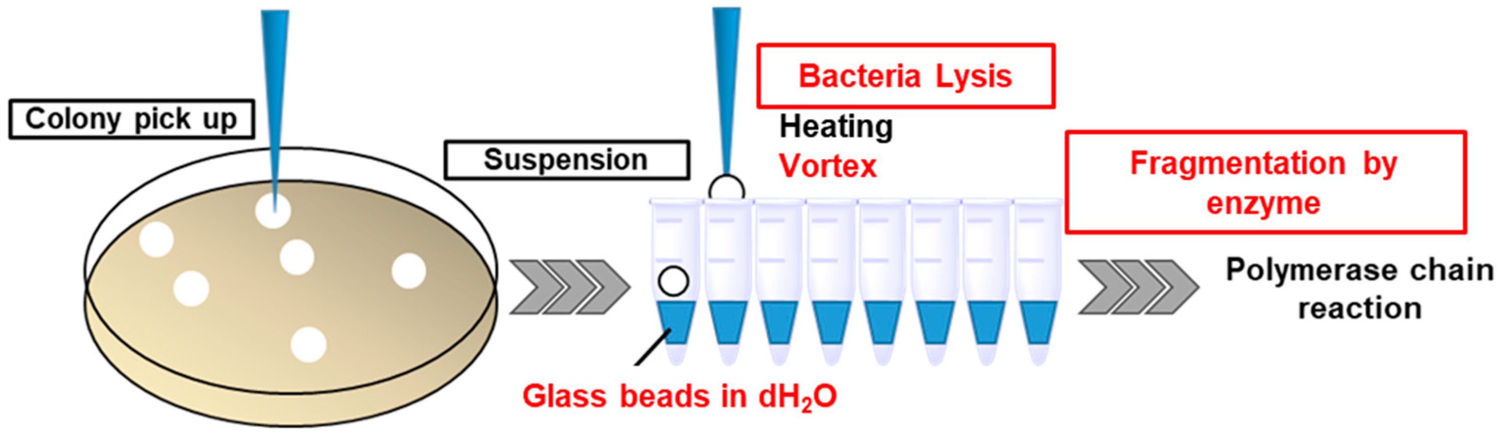Pharmaceutics 15 00989 g001 Pharmaceutics 15 00989 g001