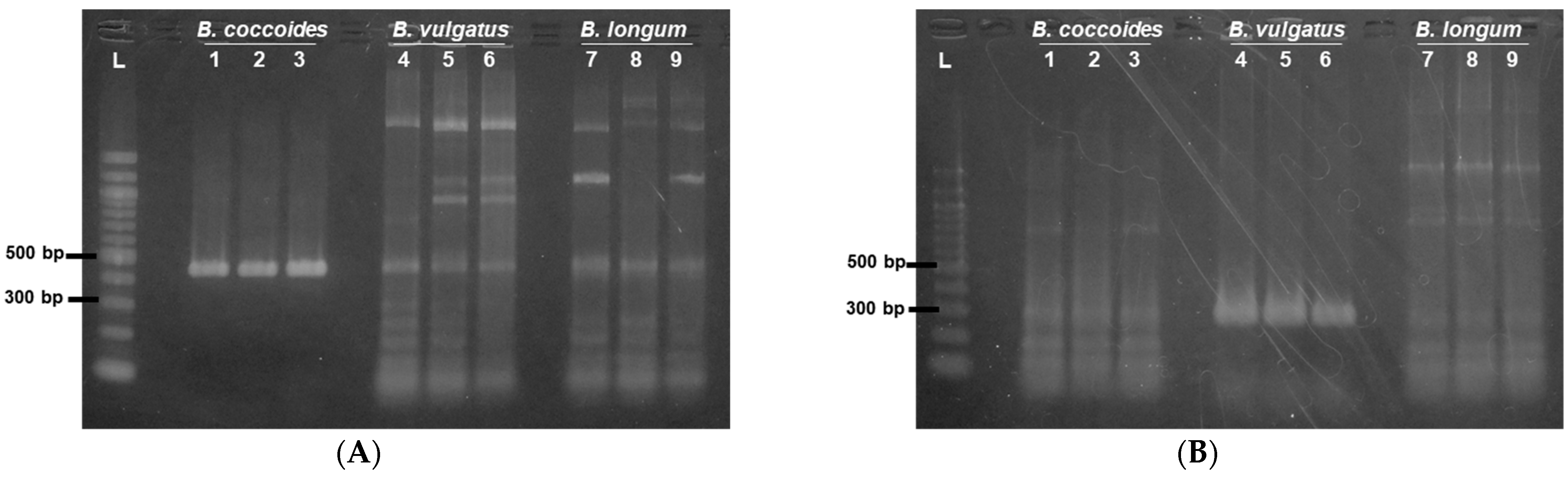 Pharmaceutics 15 00989 g002a Pharmaceutics 15 00989 g002a