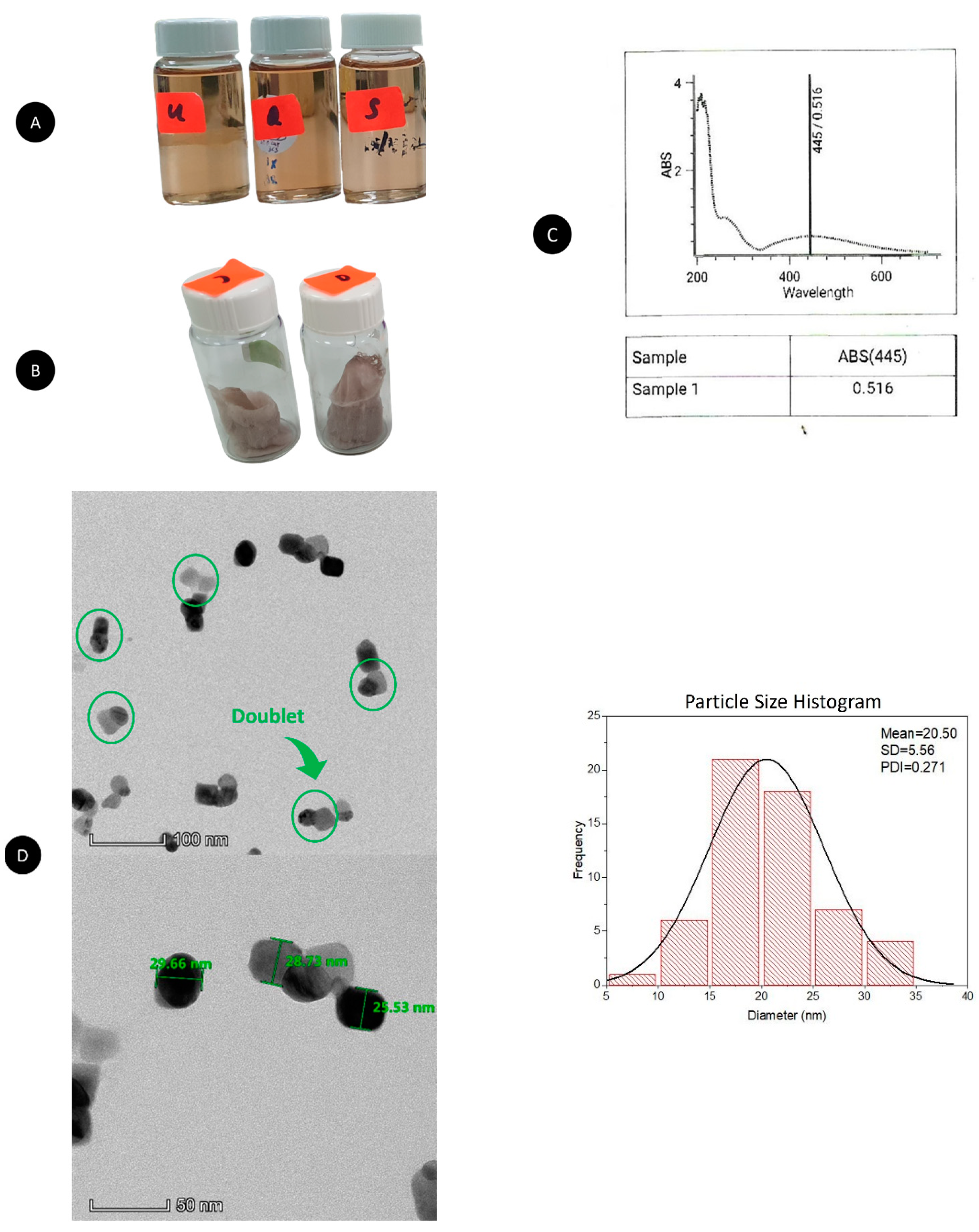 Antibacterial, Anti-Biofilm and Pro-Migratory Effects of Antibacterial, Anti-Biofilm and Pro-Migratory Effects of