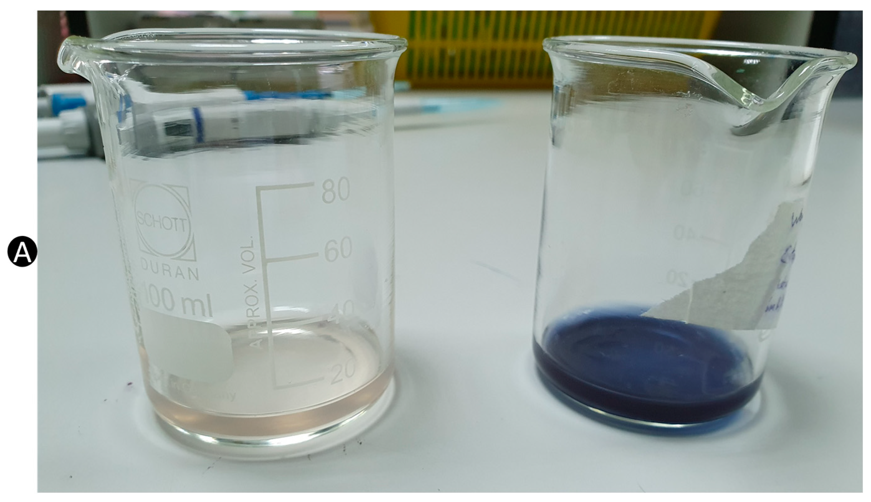 Pharmaceutics 15 00991 g005a Pharmaceutics 15 00991 g005a