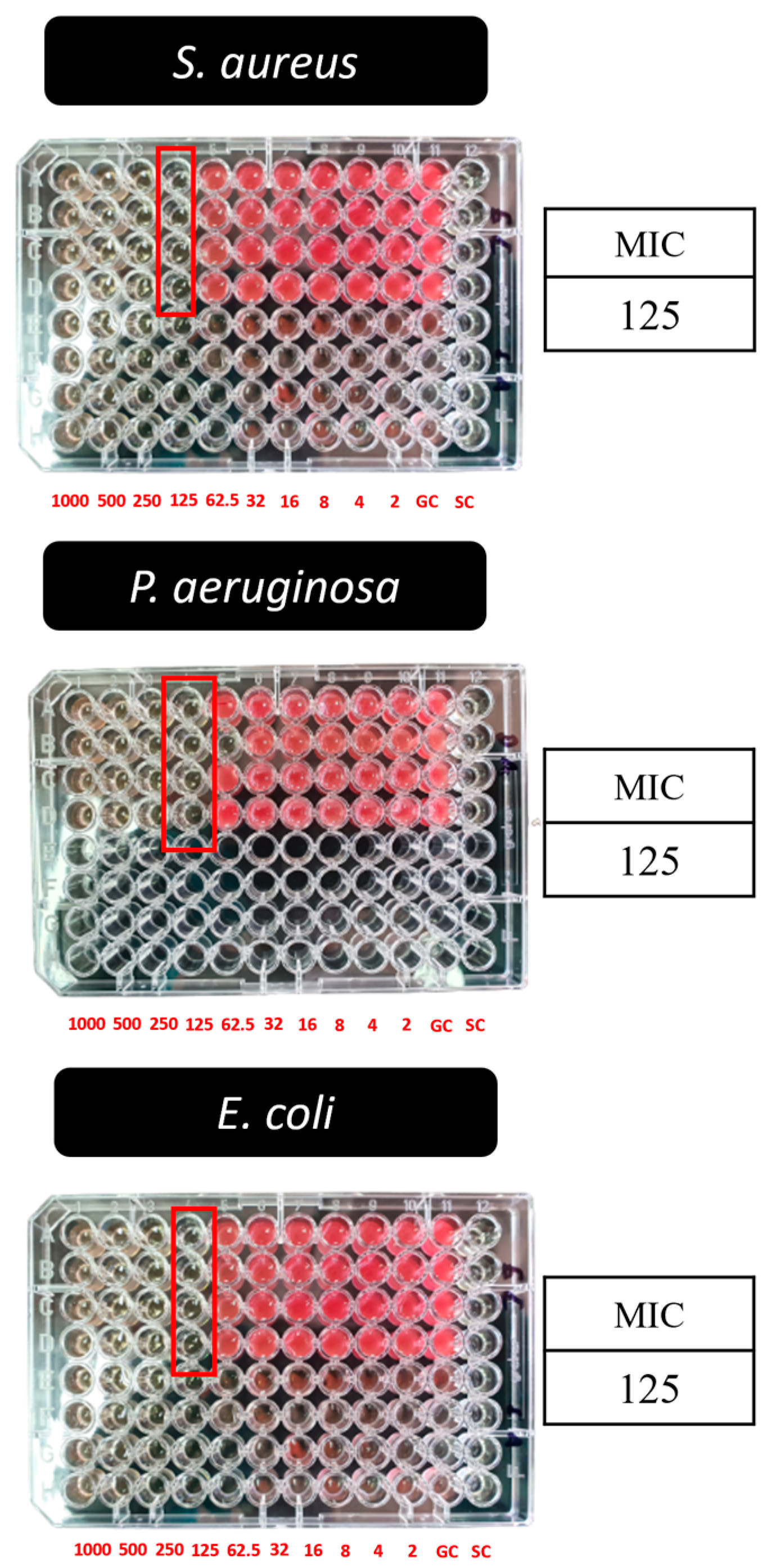 Pharmaceutics 15 00991 g008 Pharmaceutics 15 00991 g008