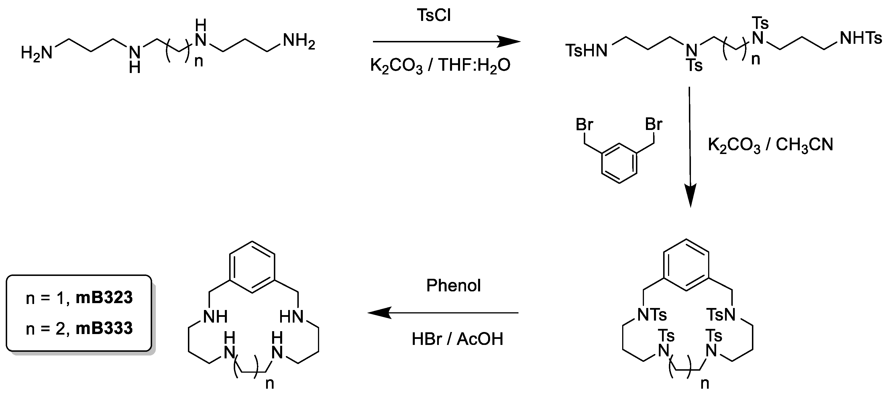 Pharmaceutics 15 00992 sch001 Pharmaceutics 15 00992 sch001