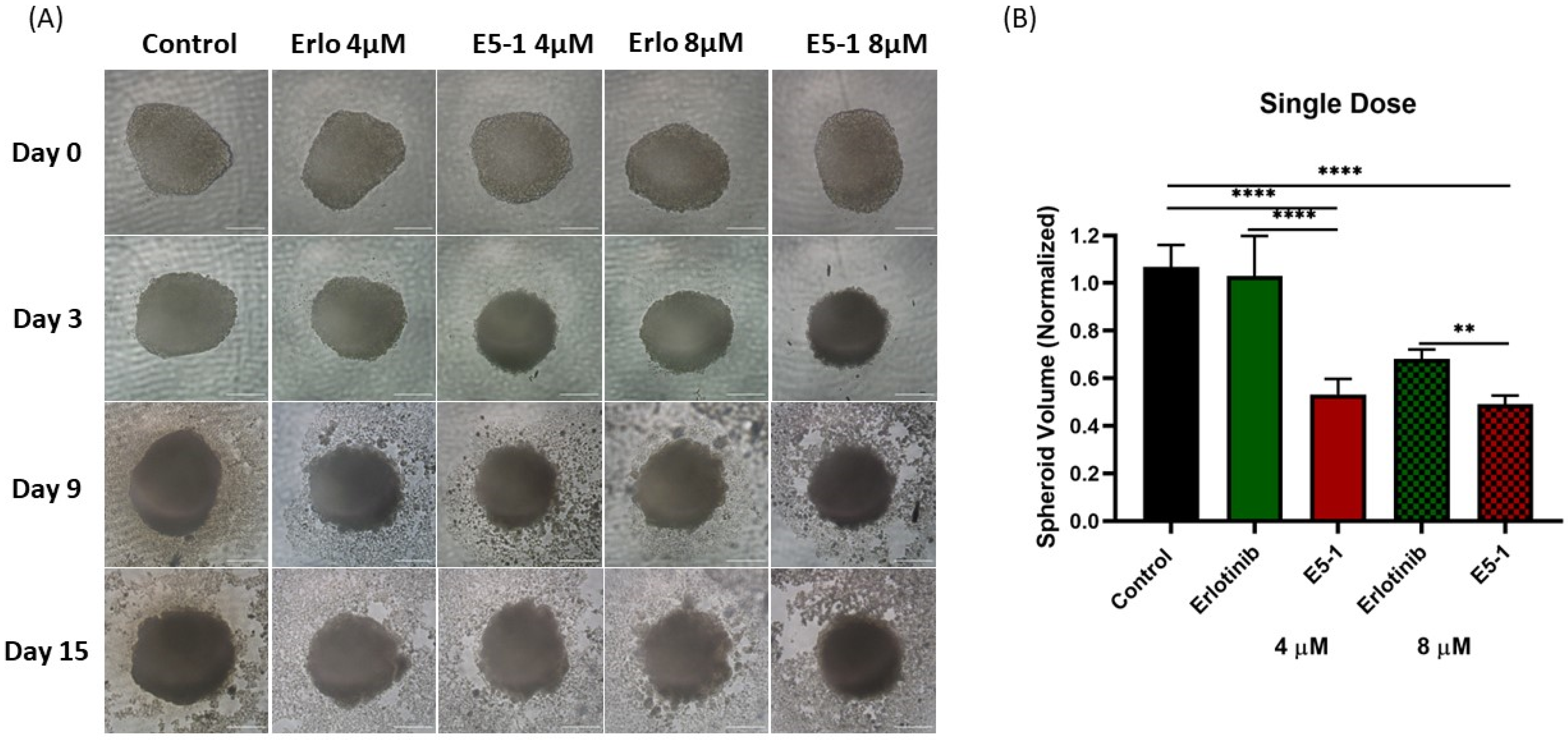 Pharmaceutics 15 00996 g007 Pharmaceutics 15 00996 g007