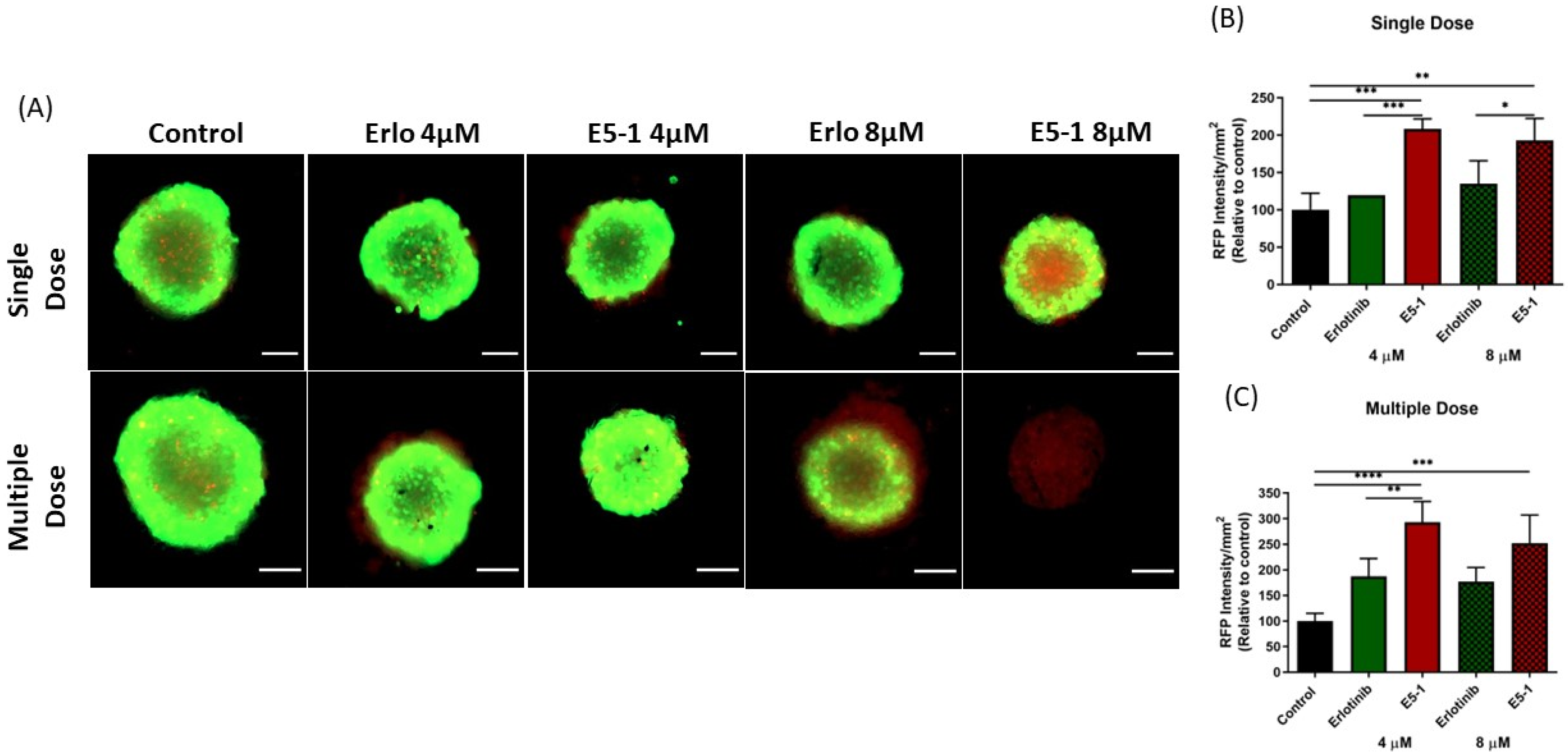Pharmaceutics 15 00996 g009 Pharmaceutics 15 00996 g009