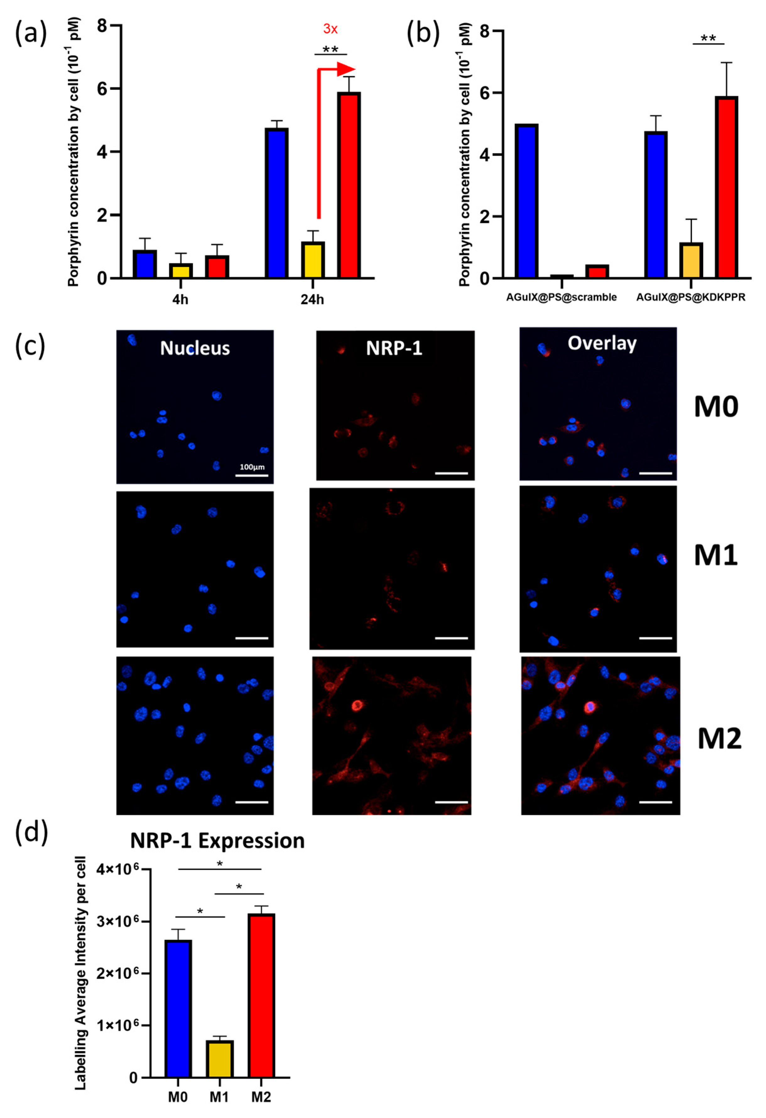 Pharmaceutics 15 00997 g005 Pharmaceutics 15 00997 g005