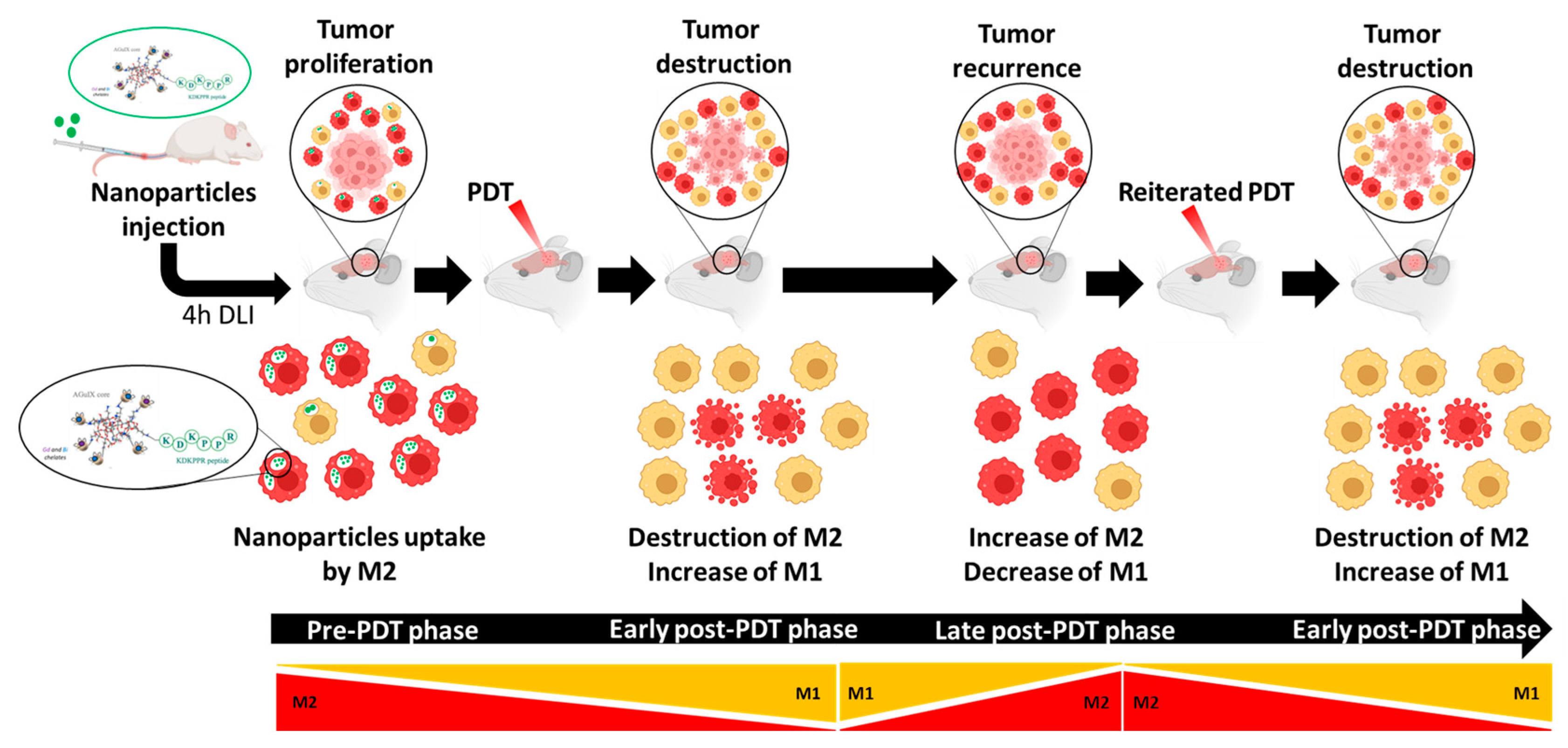Pharmaceutics 15 00997 g010 Pharmaceutics 15 00997 g010