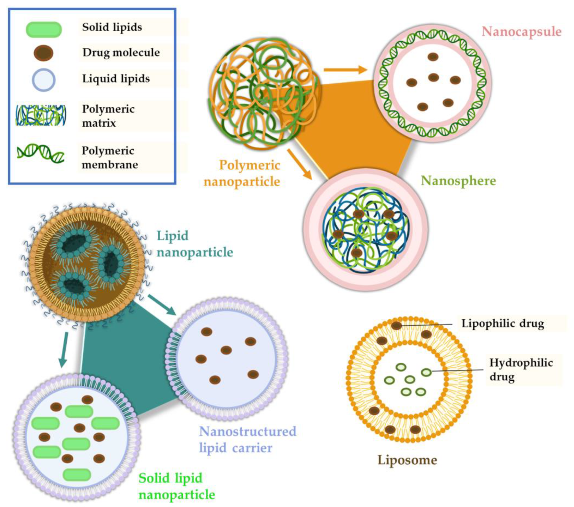 Pharmaceutics 15 00998 g004 Pharmaceutics 15 00998 g004