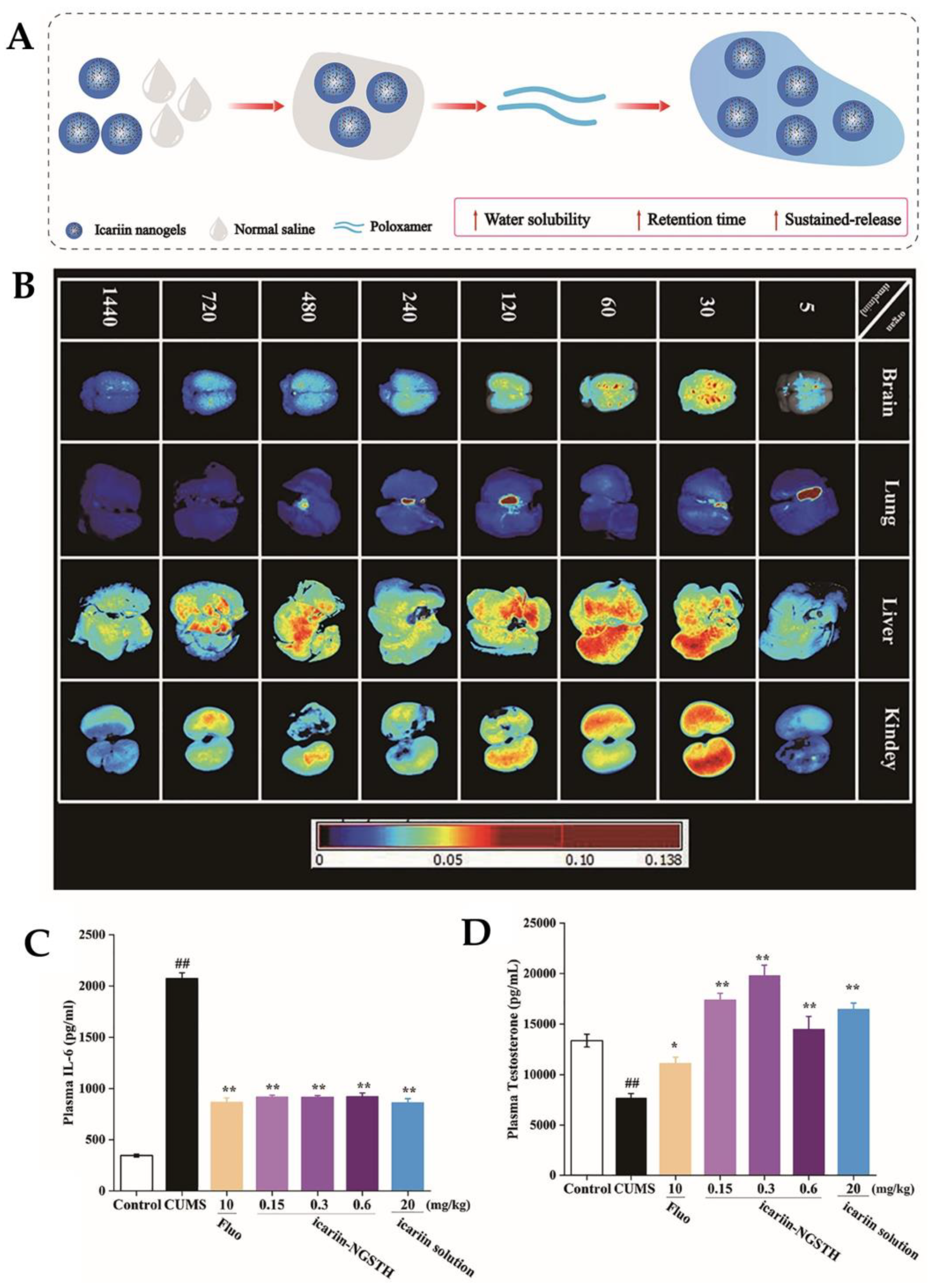 Pharmaceutics 15 00998 g006 Pharmaceutics 15 00998 g006