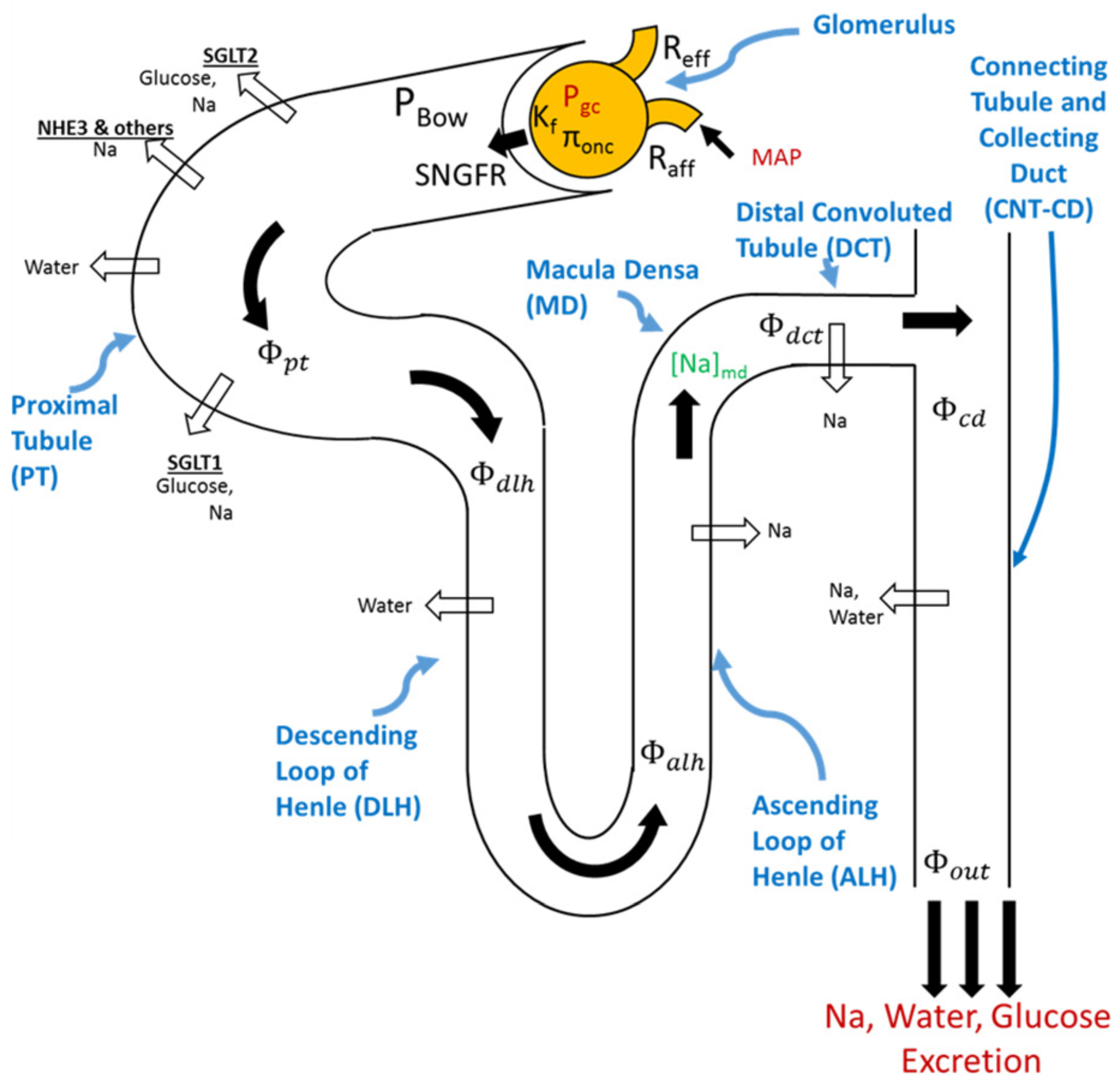 Pharmaceutics 15 01002 g001 Pharmaceutics 15 01002 g001