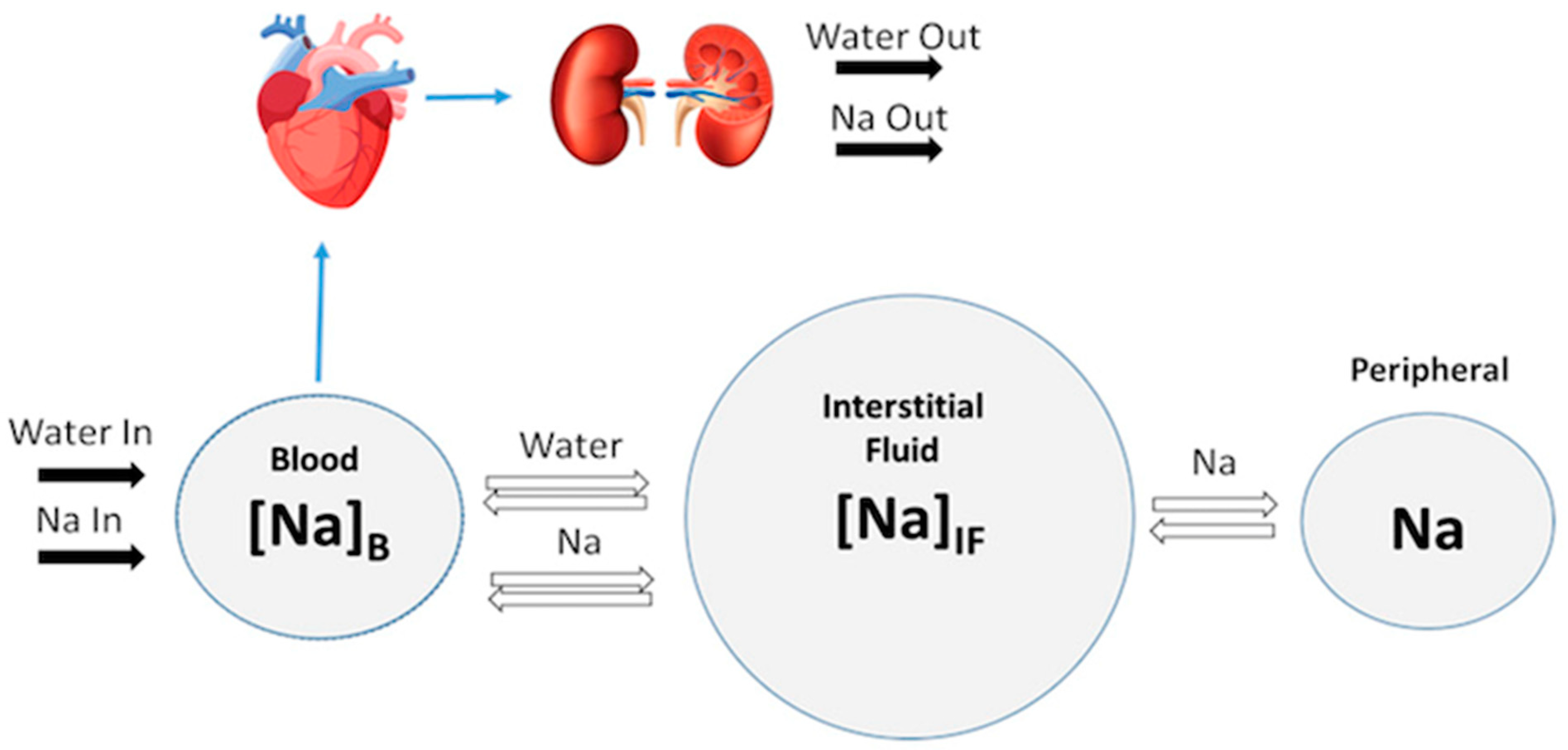 Pharmaceutics 15 01002 g002 Pharmaceutics 15 01002 g002