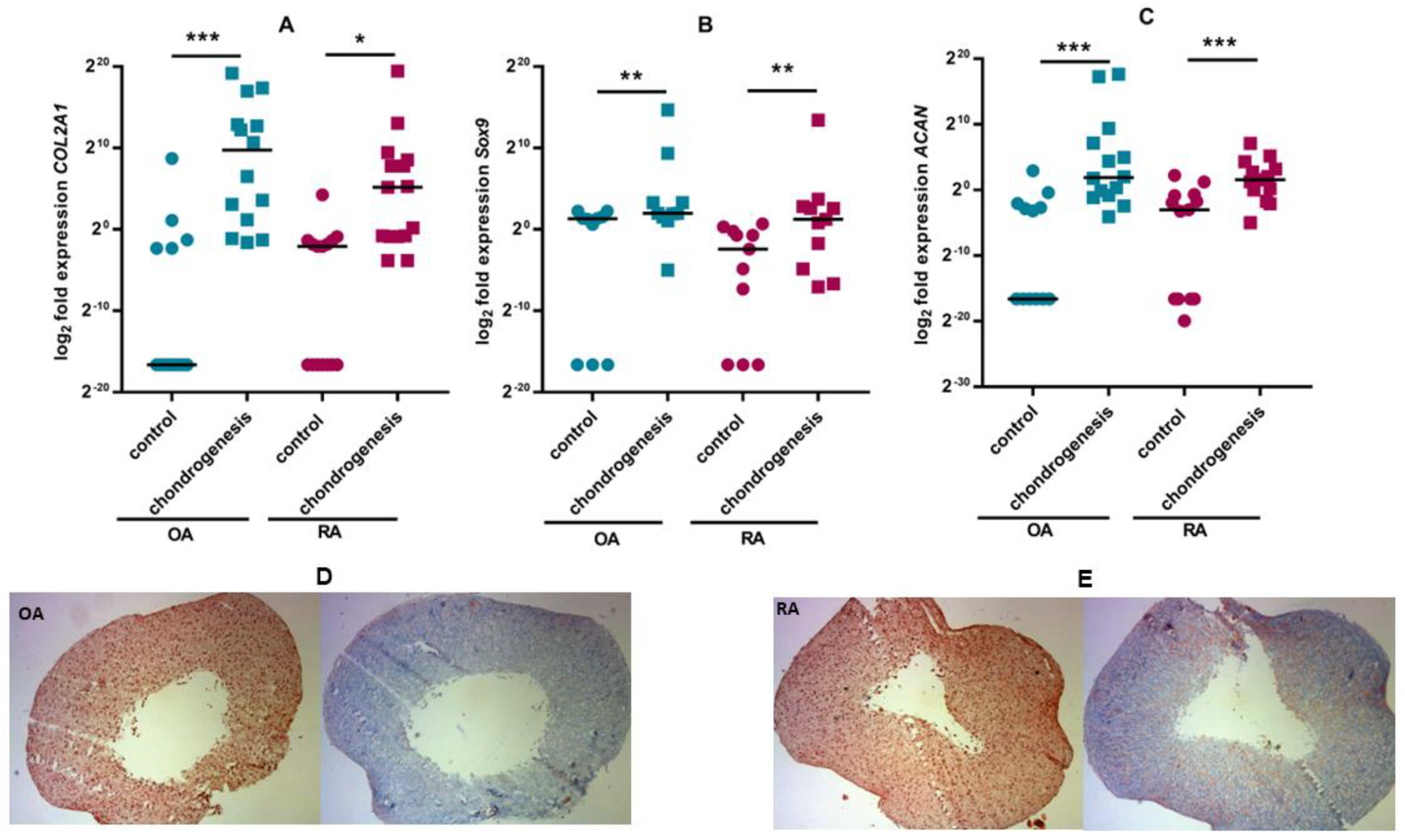 Pharmaceutics 15 01003 g002 Pharmaceutics 15 01003 g002