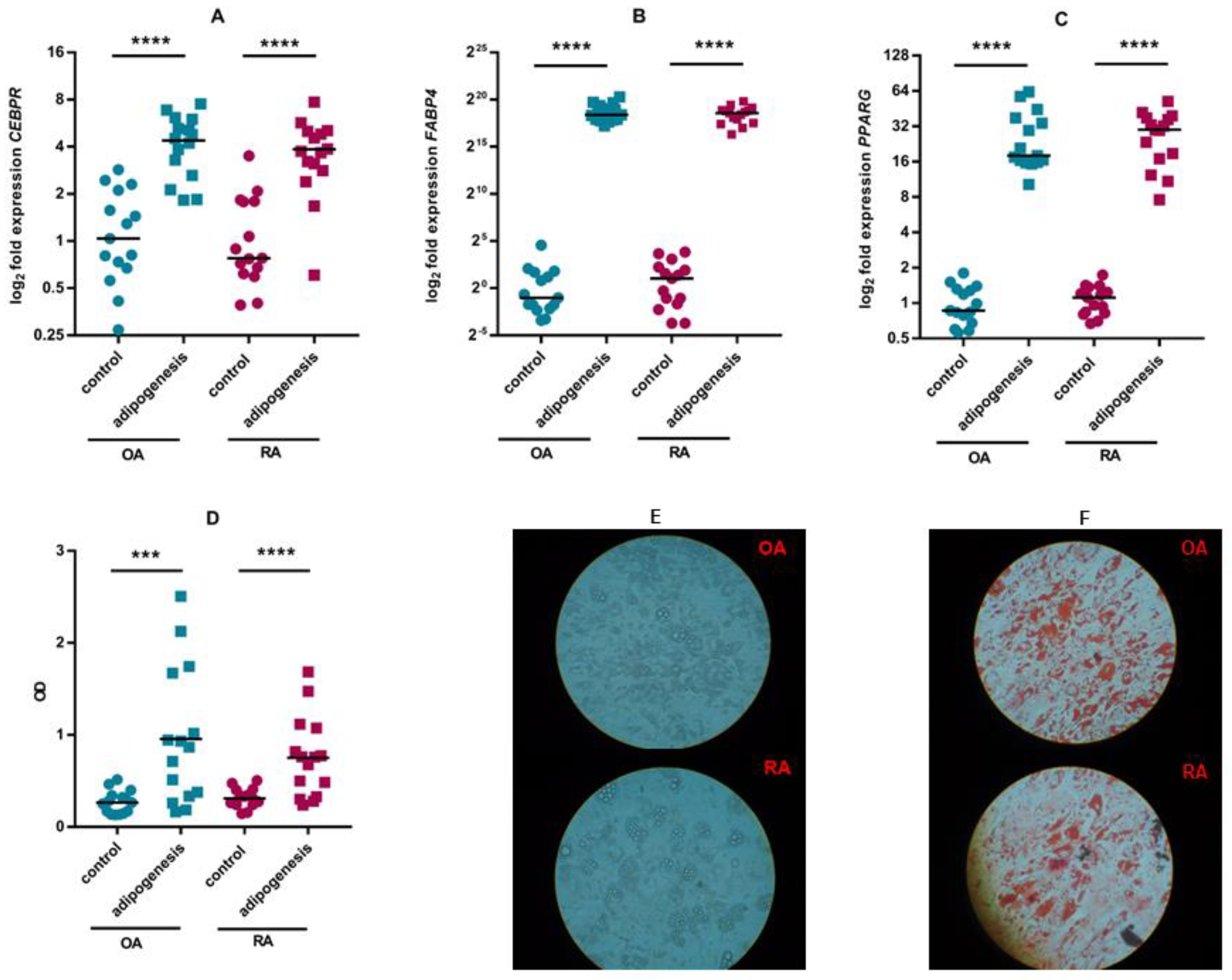Pharmaceutics 15 01003 g004 Pharmaceutics 15 01003 g004