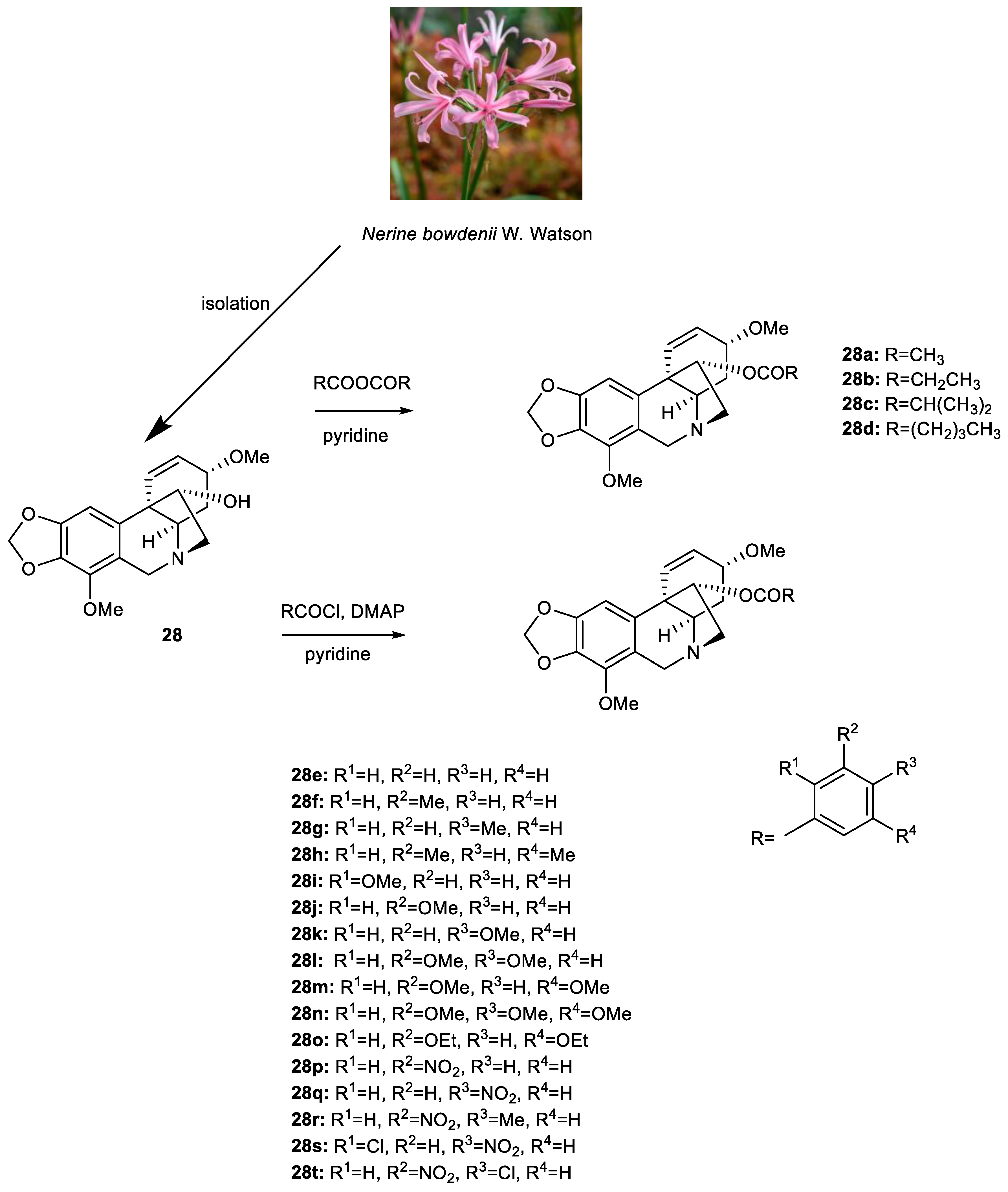 Pharmaceutics 15 01007 g002 Pharmaceutics 15 01007 g002