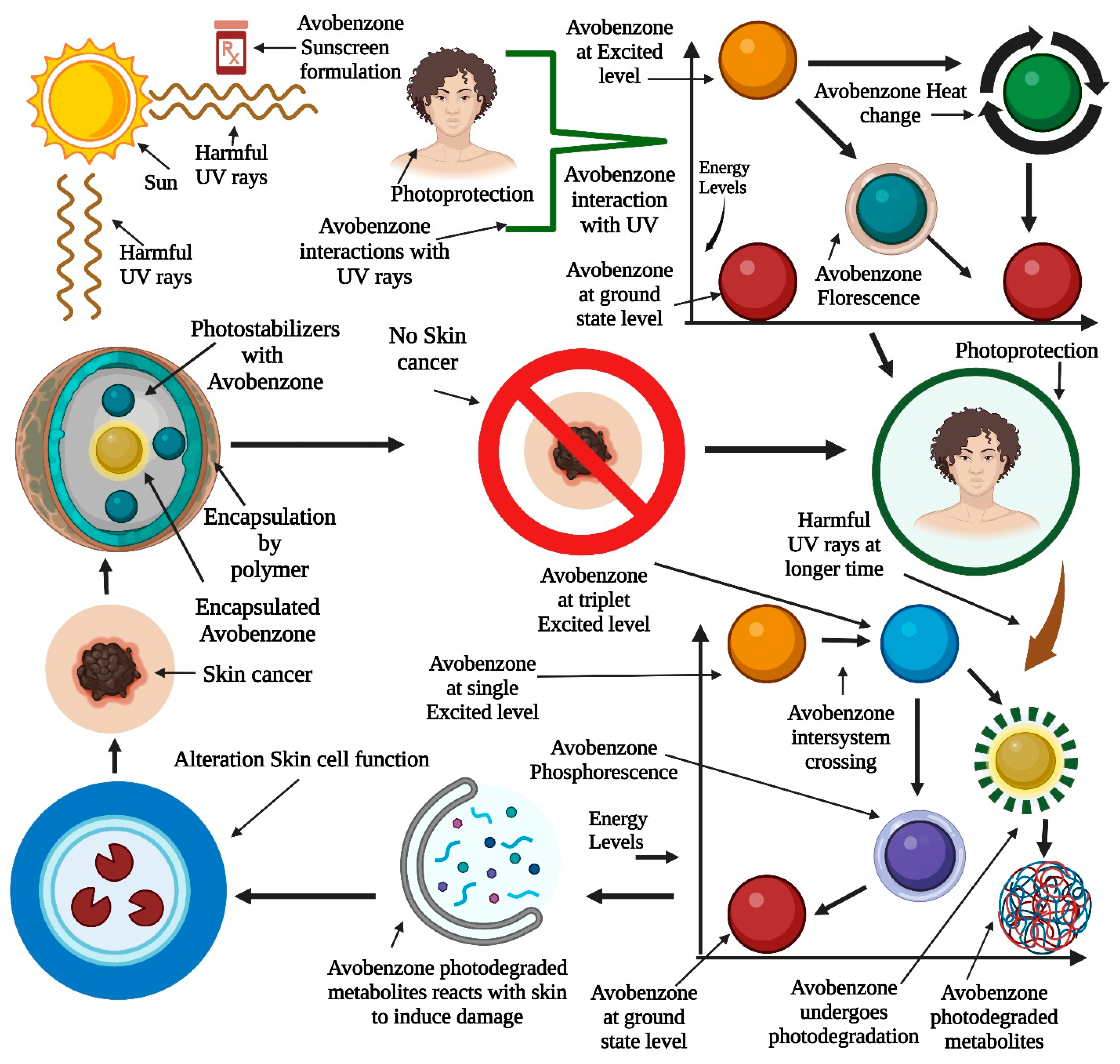 Pharmaceutics 15 01008 g004