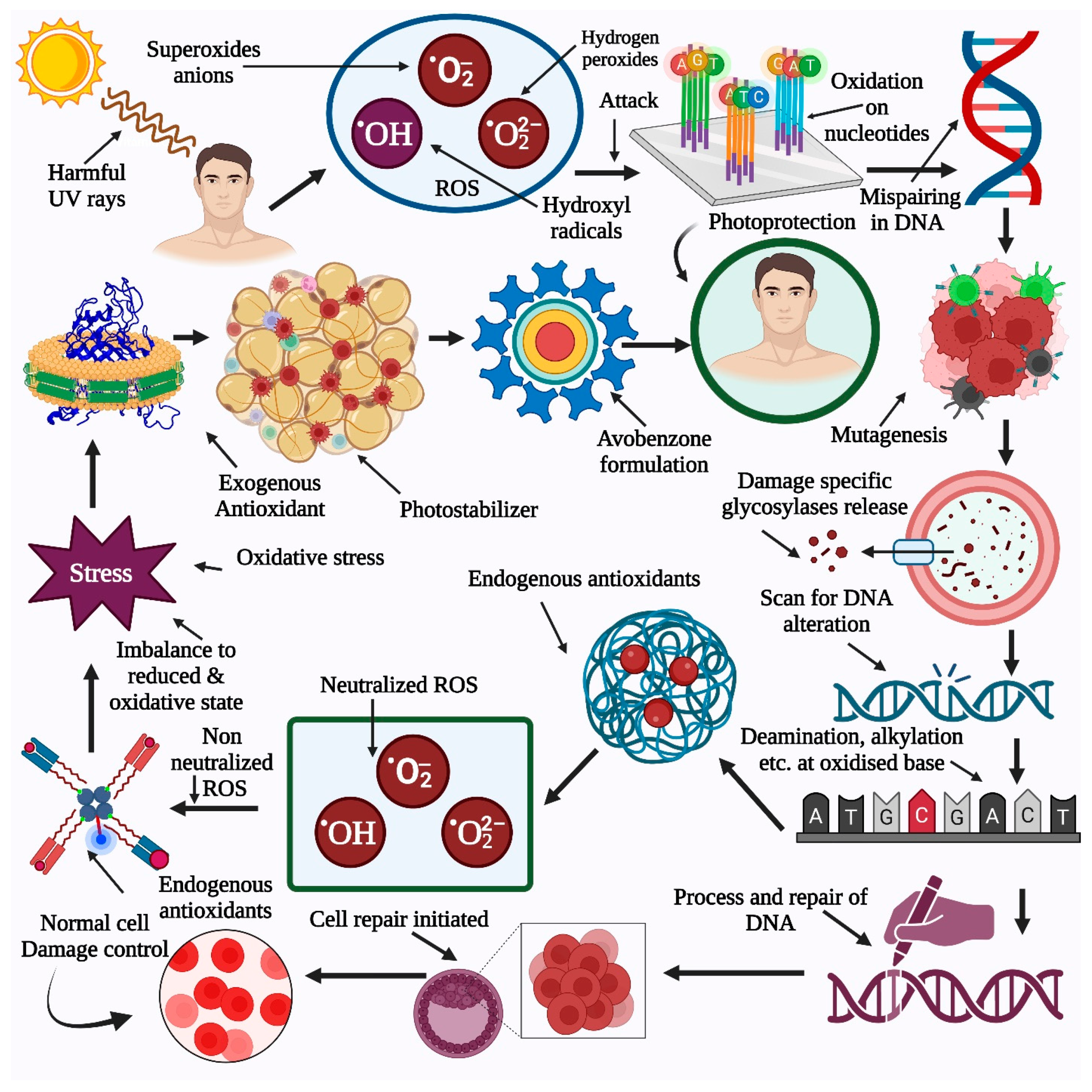 Pharmaceutics 15 01008 g006