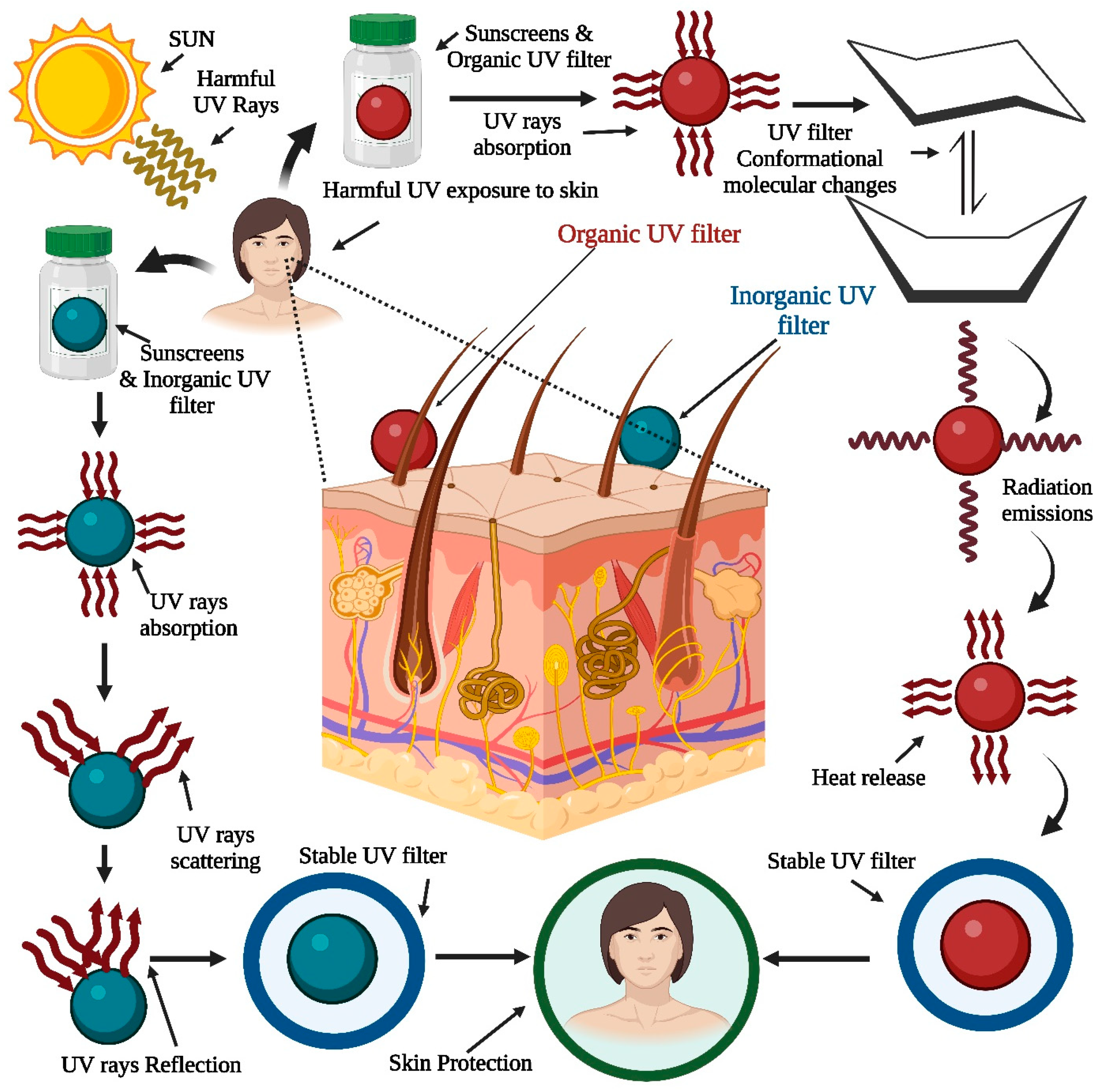 Pharmaceutics 15 01008 g008