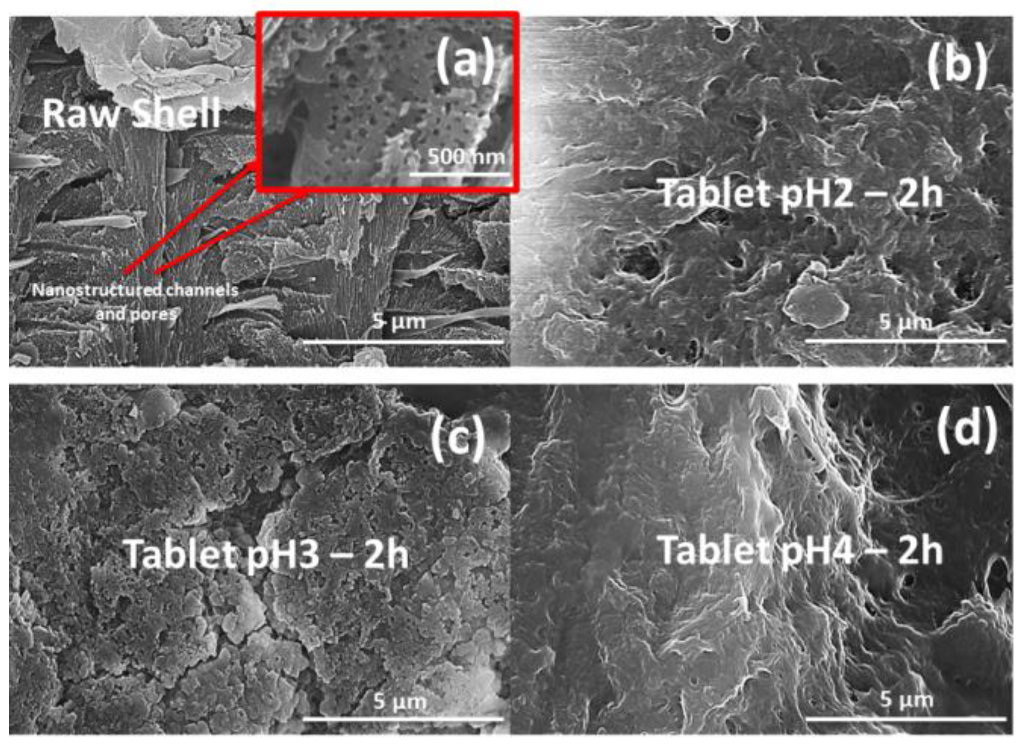 Pharmaceutics 15 01011 g004 Pharmaceutics 15 01011 g004