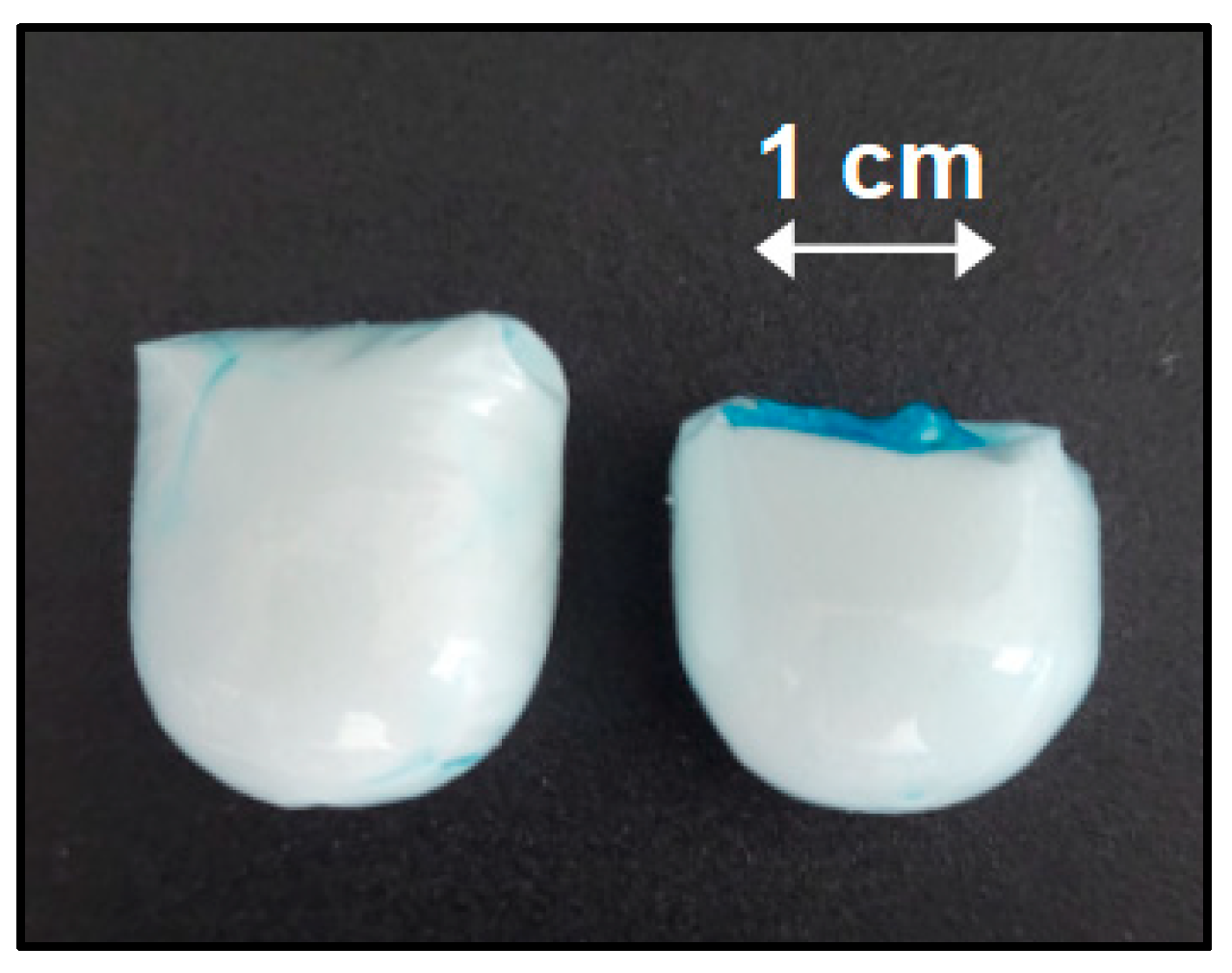 Pharmaceutics 15 01012 g002