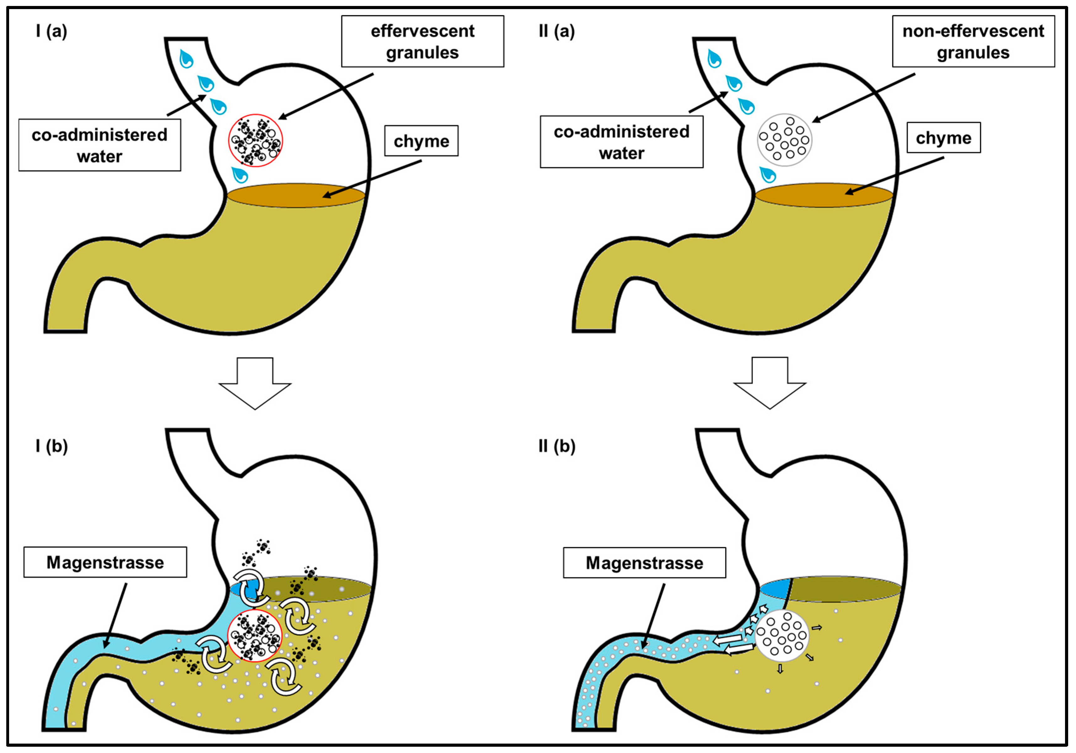 Pharmaceutics 15 01012 g010