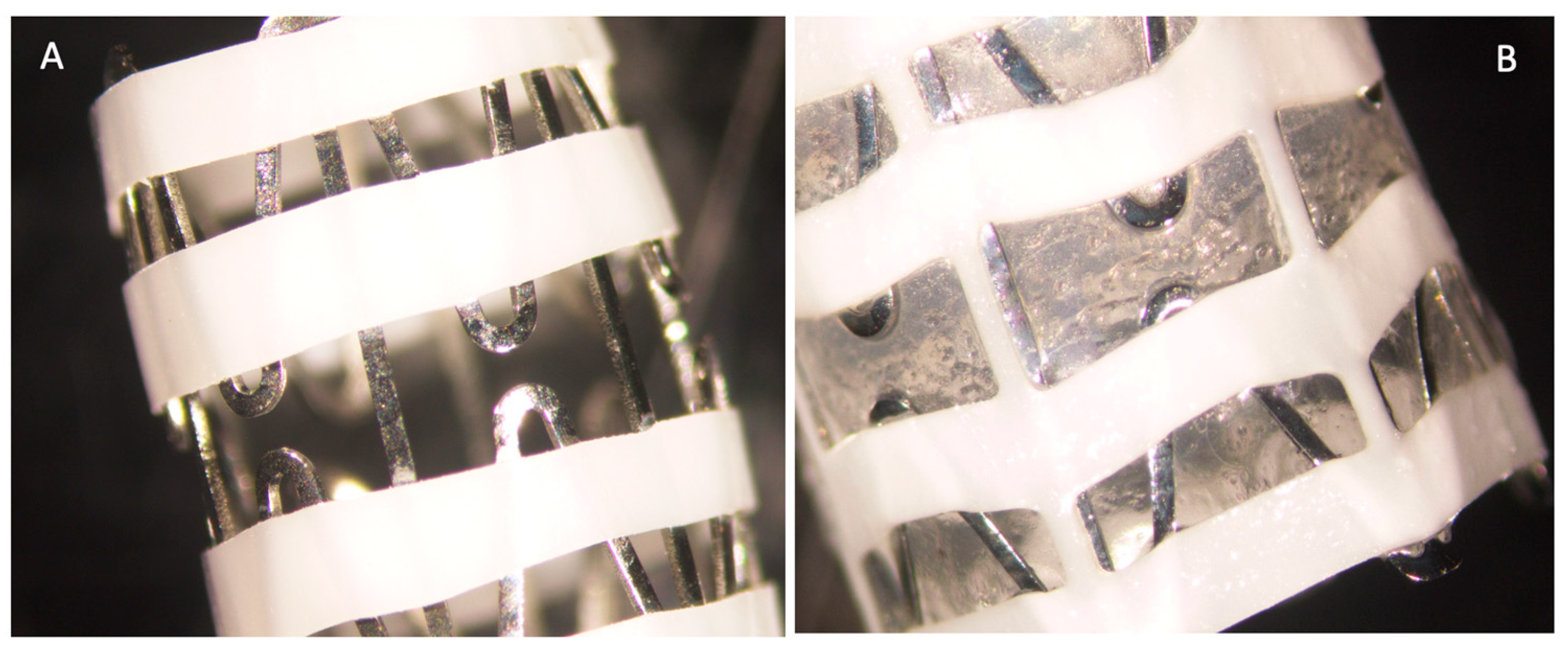 Pharmaceutics 15 01015 g001