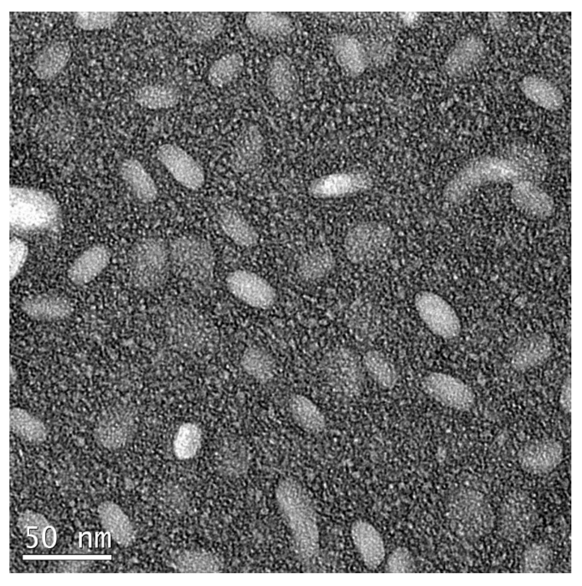 Pharmaceutics 15 01016 g001