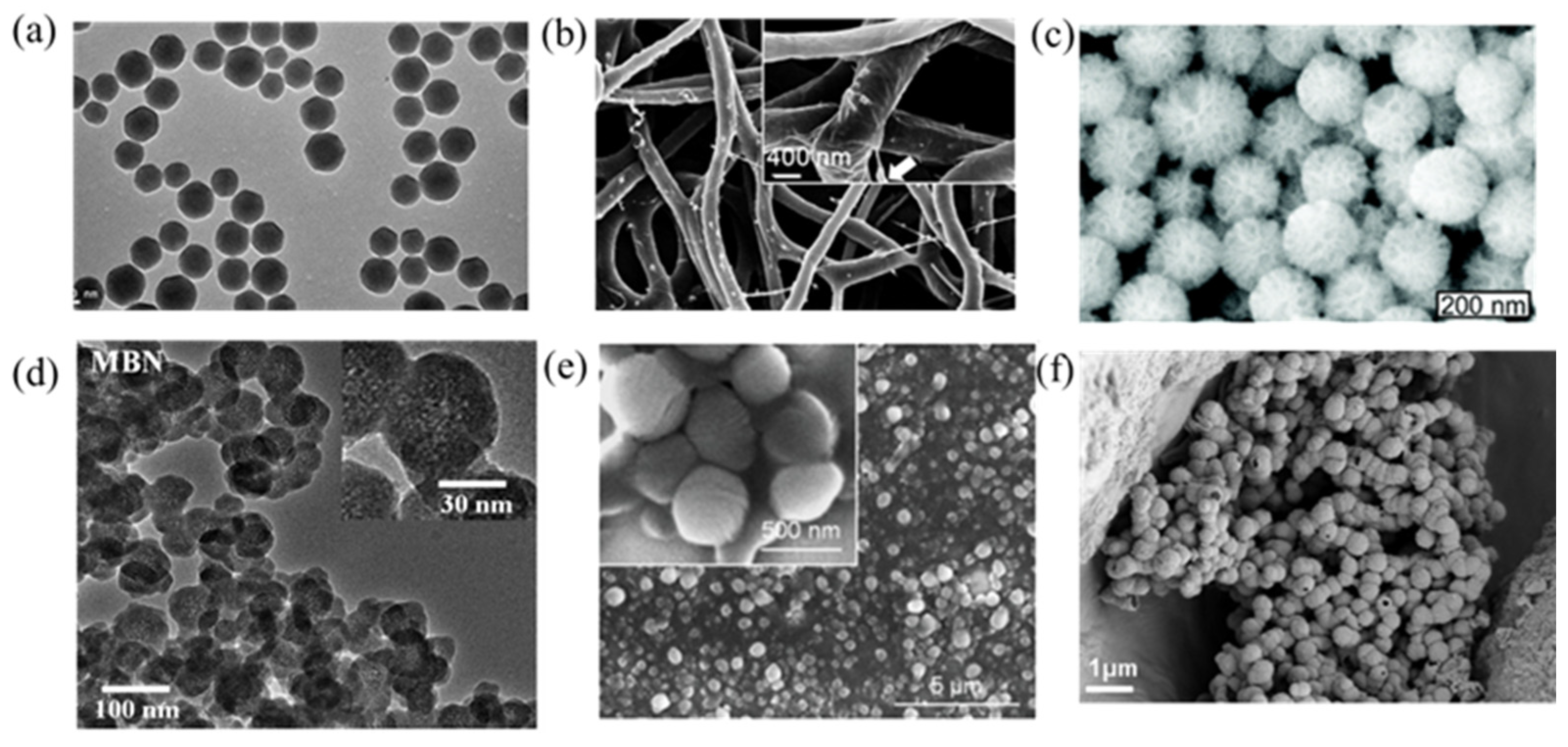 Pharmaceutics 15 01017 g002 Pharmaceutics 15 01017 g002