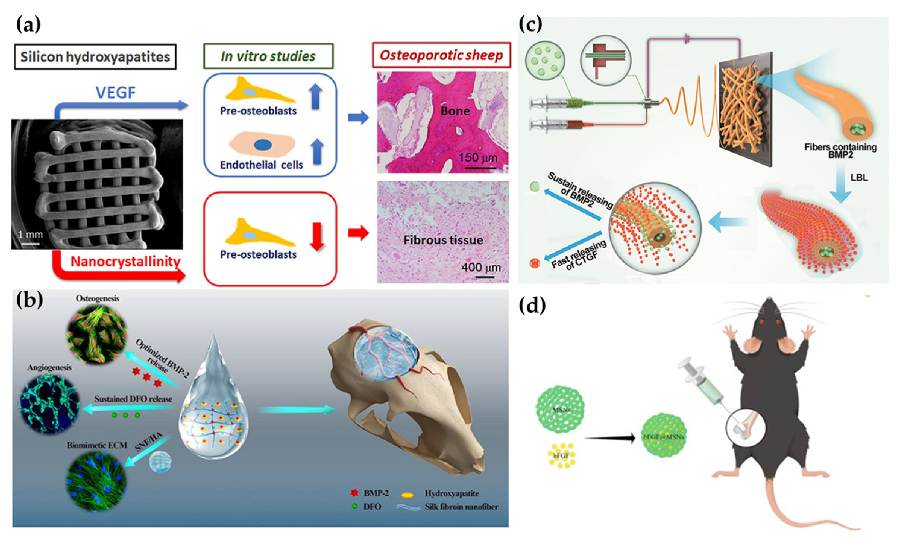 Pharmaceutics 15 01017 g003 Pharmaceutics 15 01017 g003