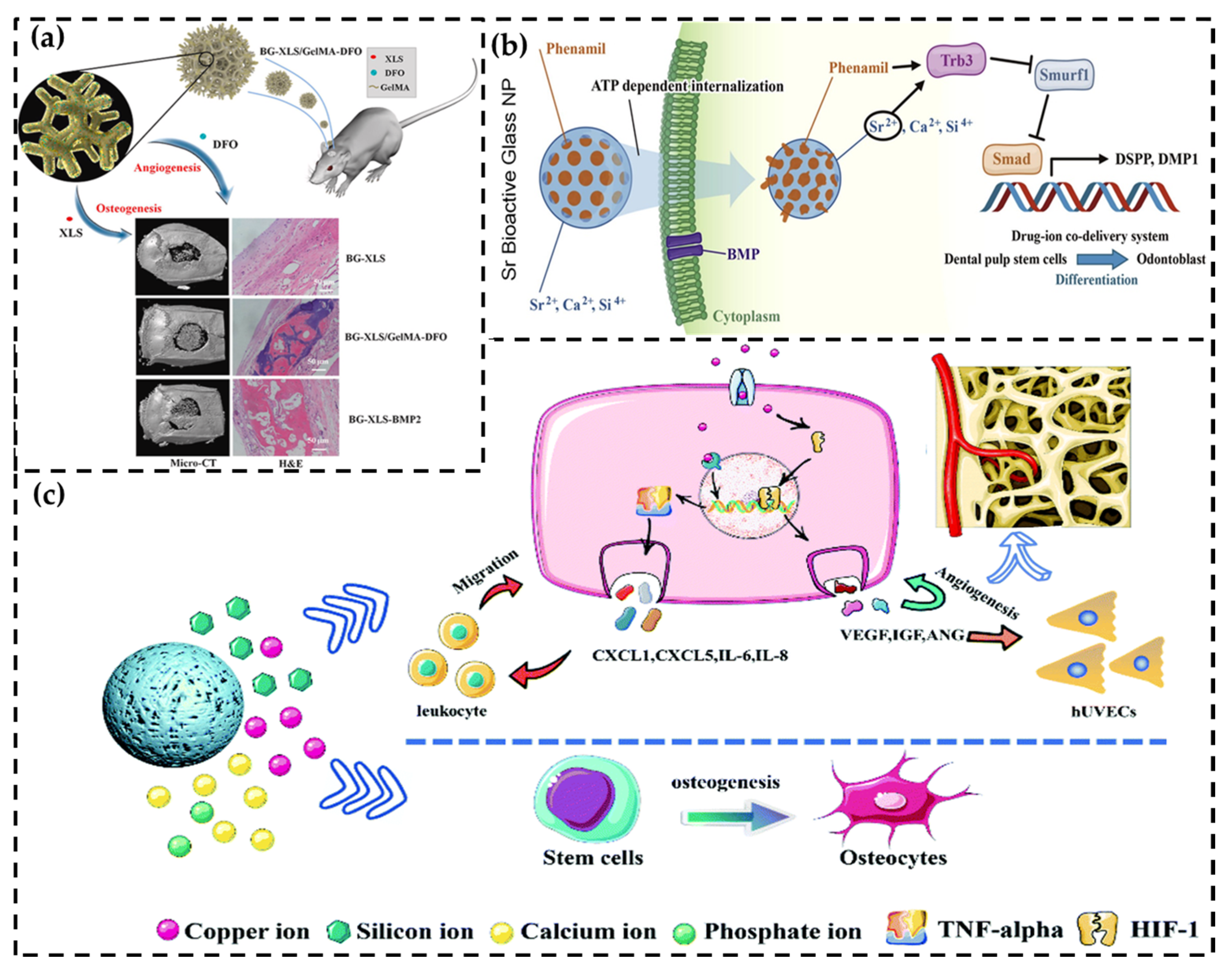 Pharmaceutics 15 01017 g004 Pharmaceutics 15 01017 g004