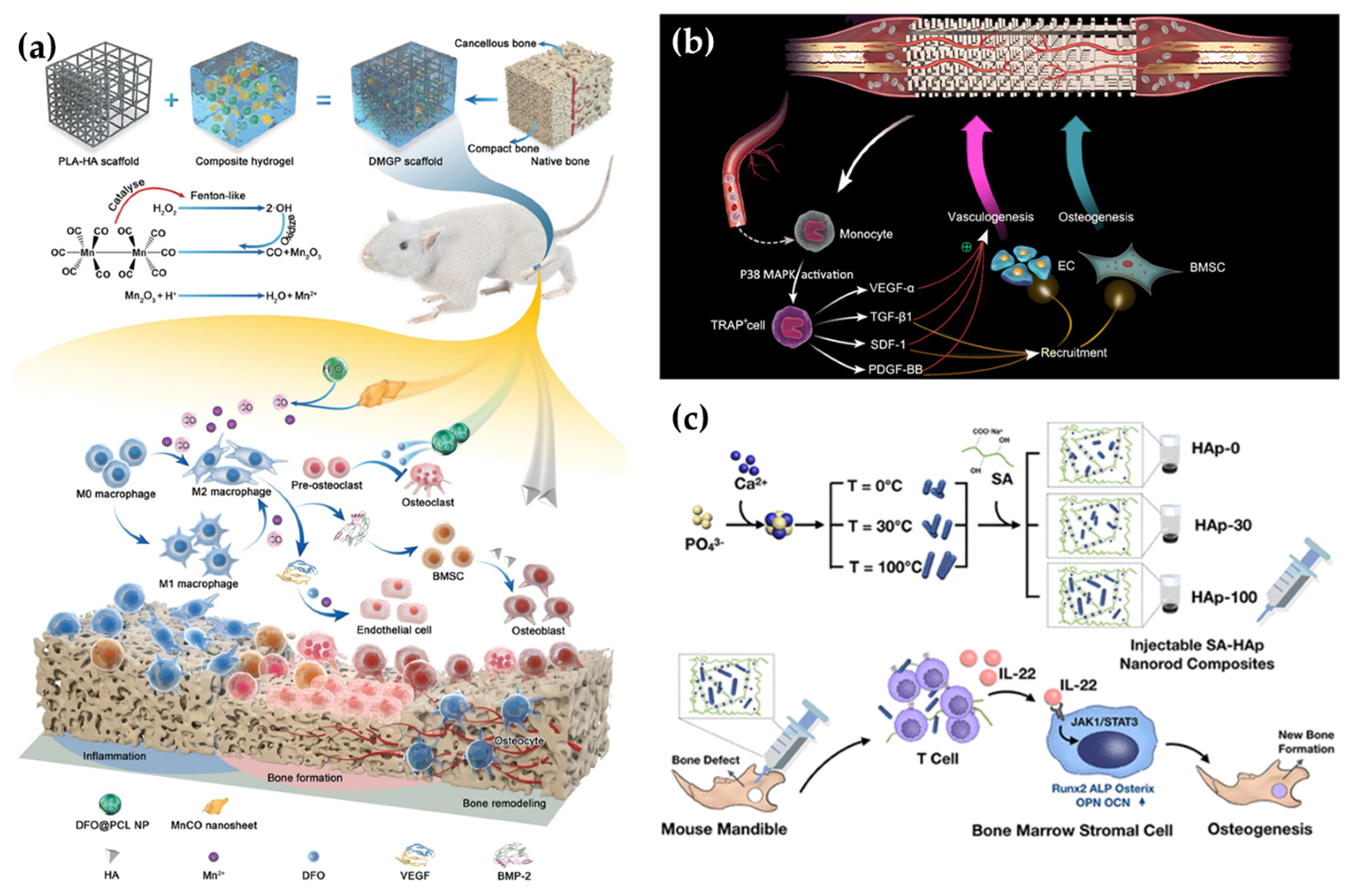 Pharmaceutics 15 01017 g005 Pharmaceutics 15 01017 g005