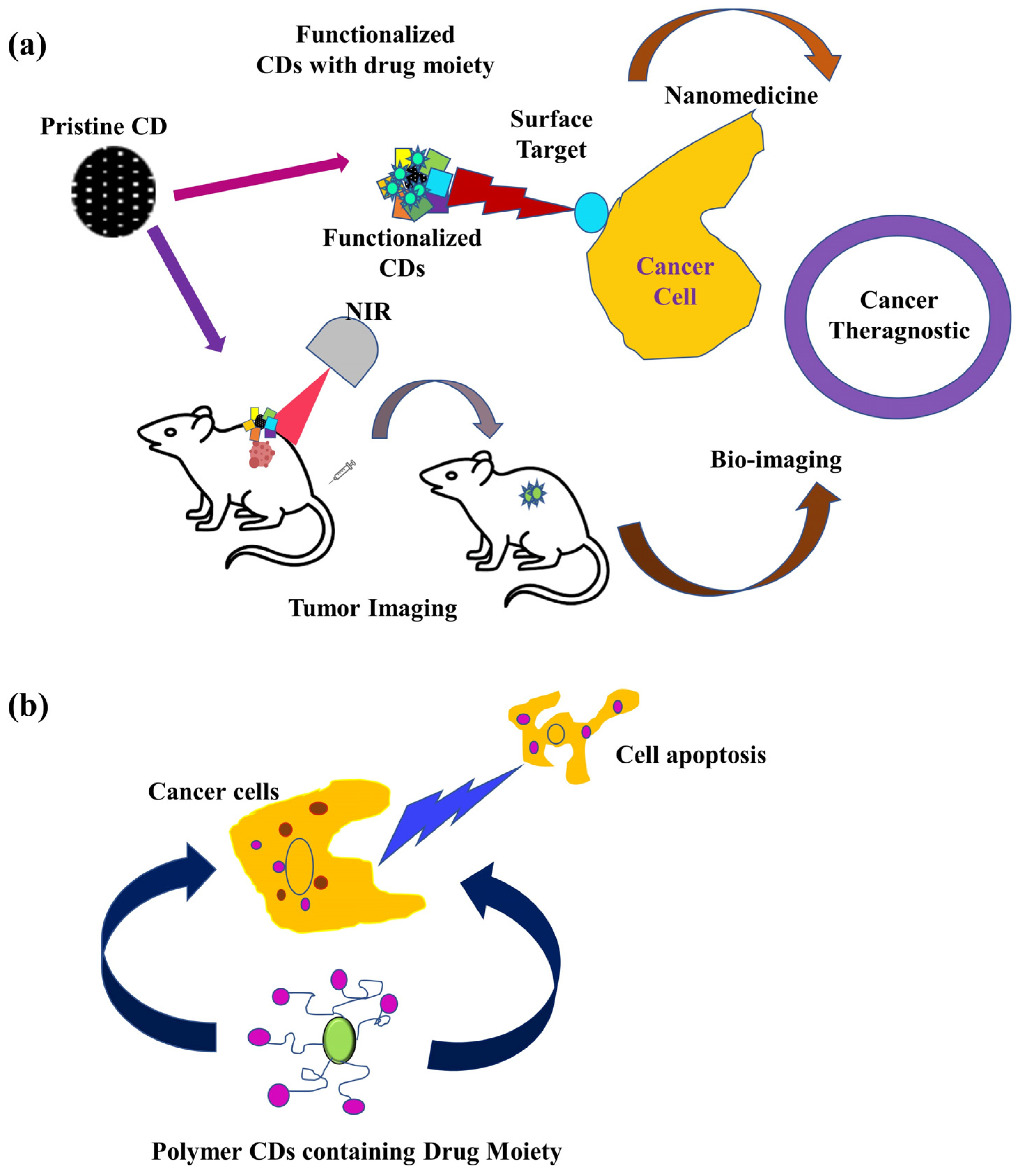 Pharmaceutics 15 01019 g002