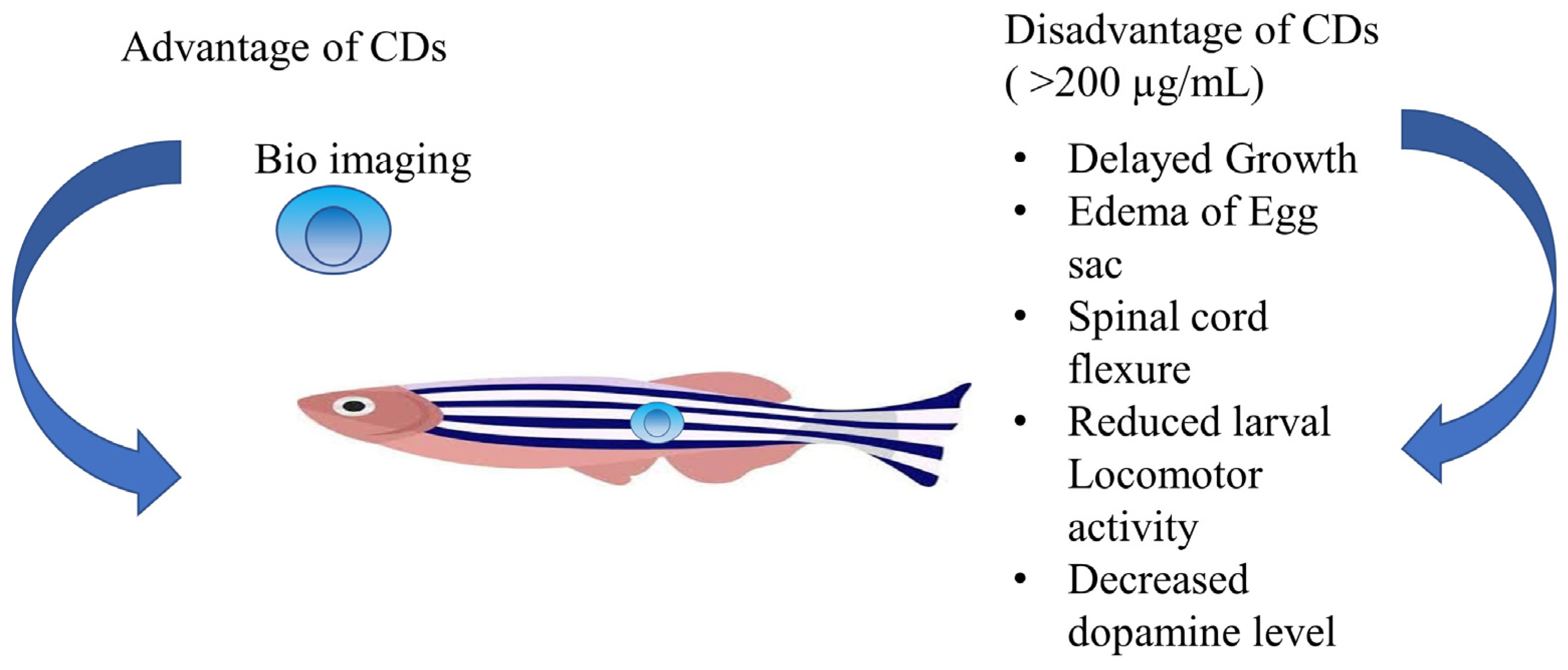 Pharmaceutics 15 01019 g003