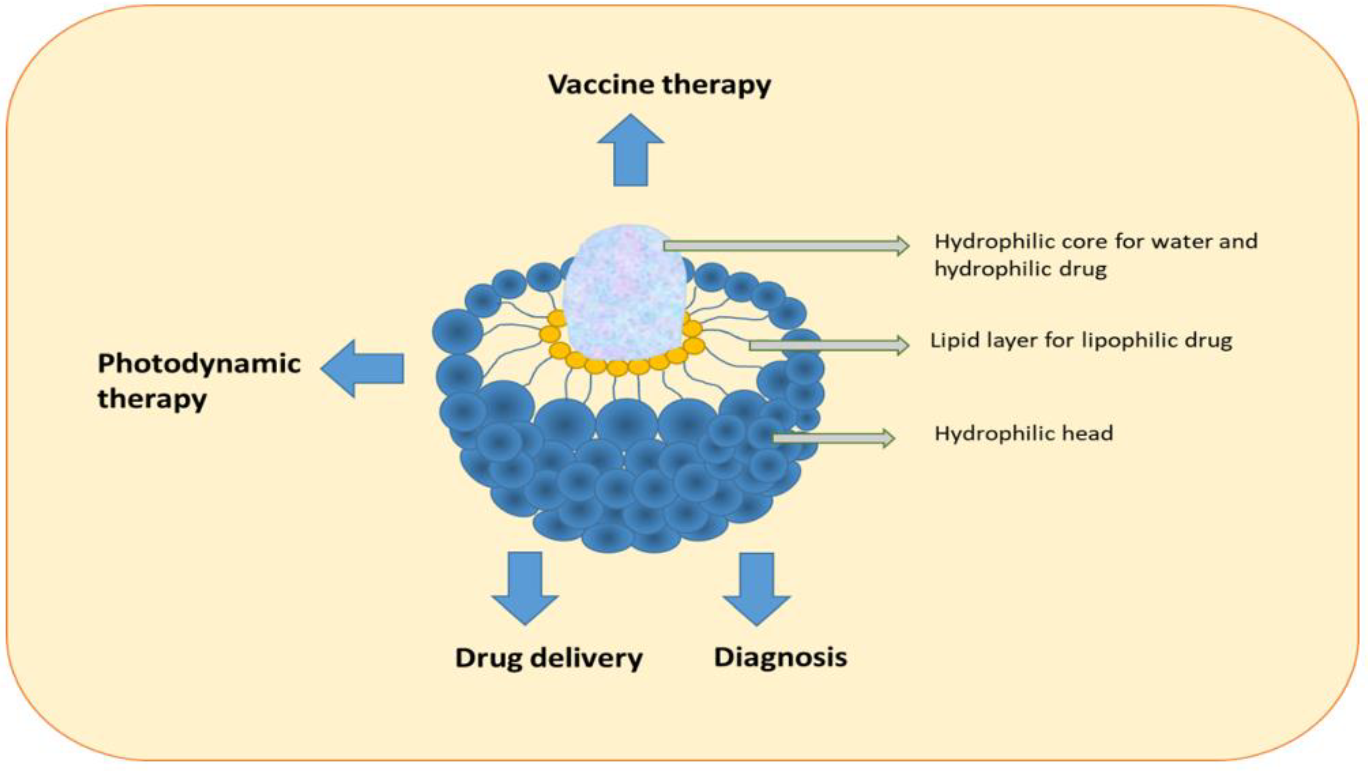 Pharmaceutics 15 01025 g007