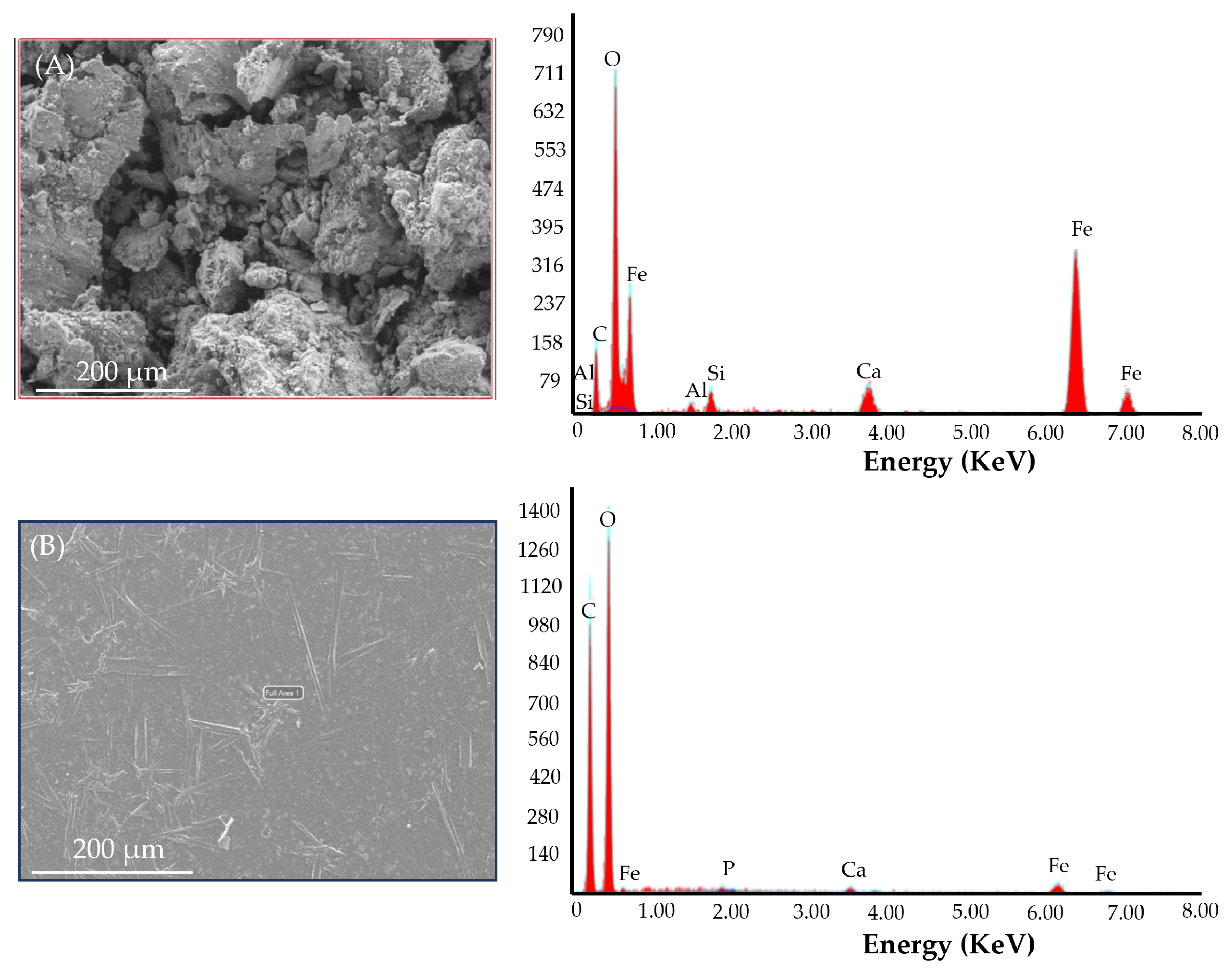 Pharmaceutics 15 01027 g002 Pharmaceutics 15 01027 g002