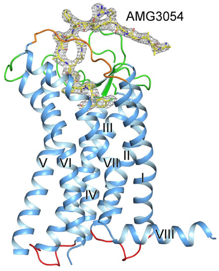 can-you-take-aspirin-and-ibuprofen-together