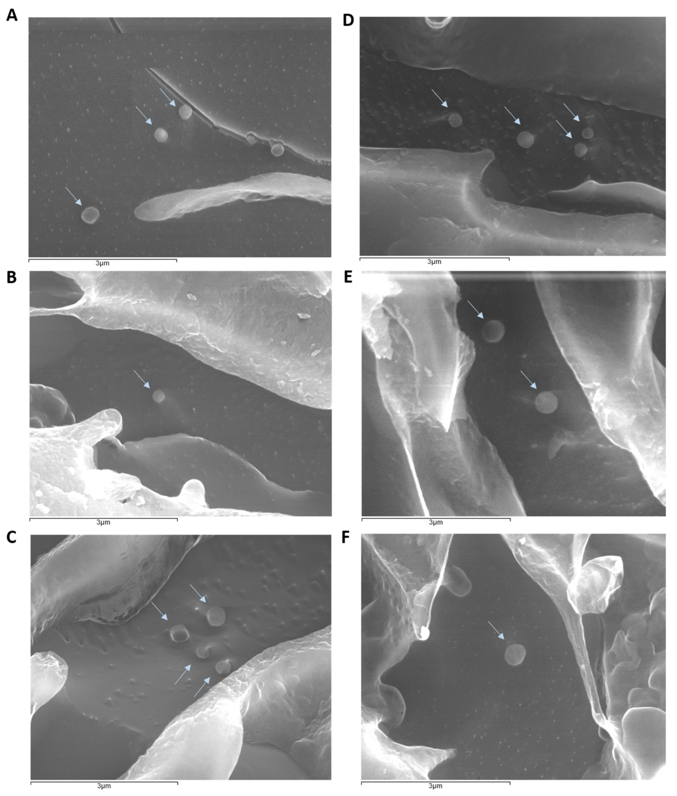 Pharmaceutics 15 01035 g001