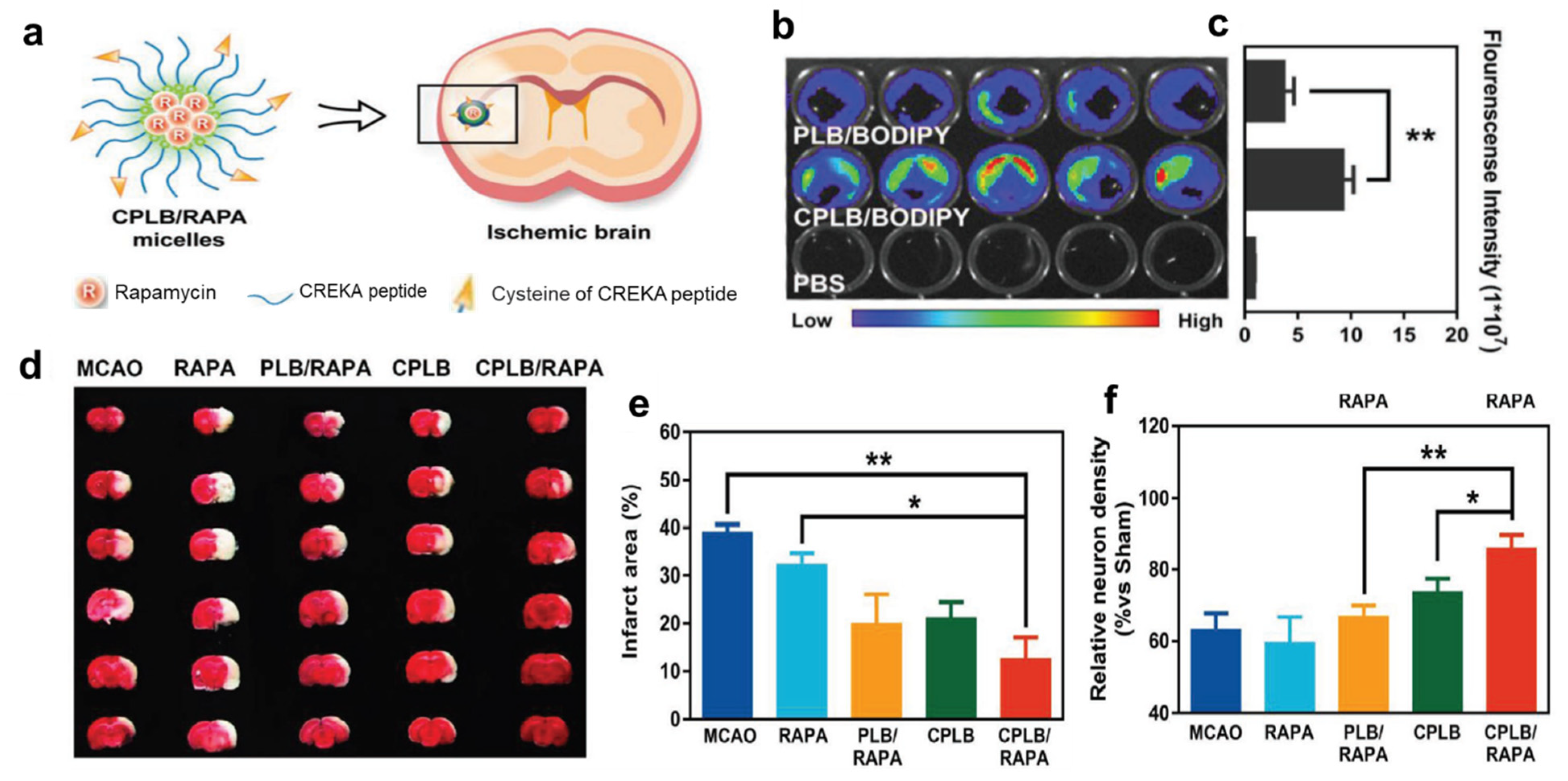 Pharmaceutics 15 01036 g005 Pharmaceutics 15 01036 g005