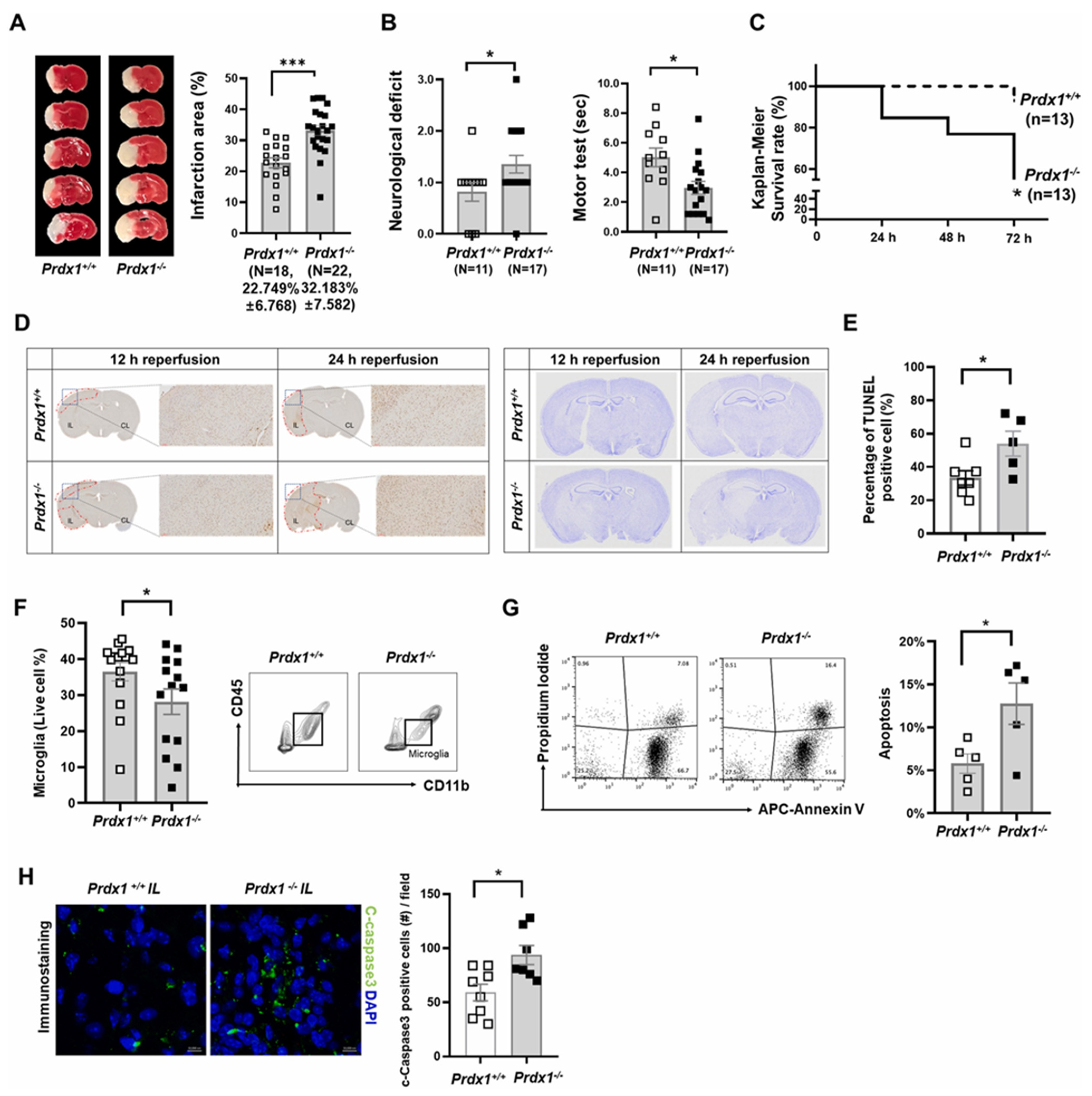 Pharmaceutics 15 01036 g008 Pharmaceutics 15 01036 g008