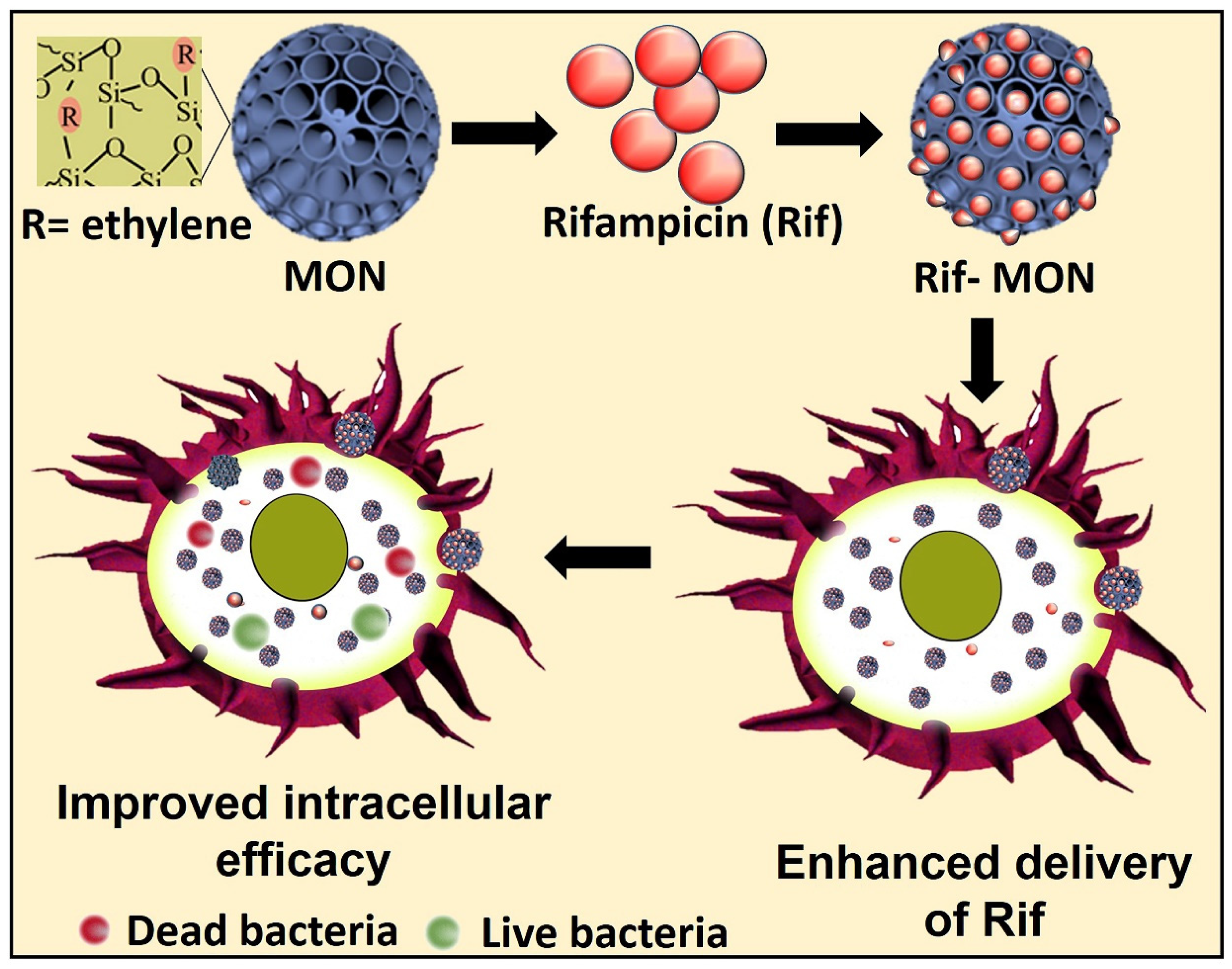 Pharmaceutics 15 01037 g001 Pharmaceutics 15 01037 g001