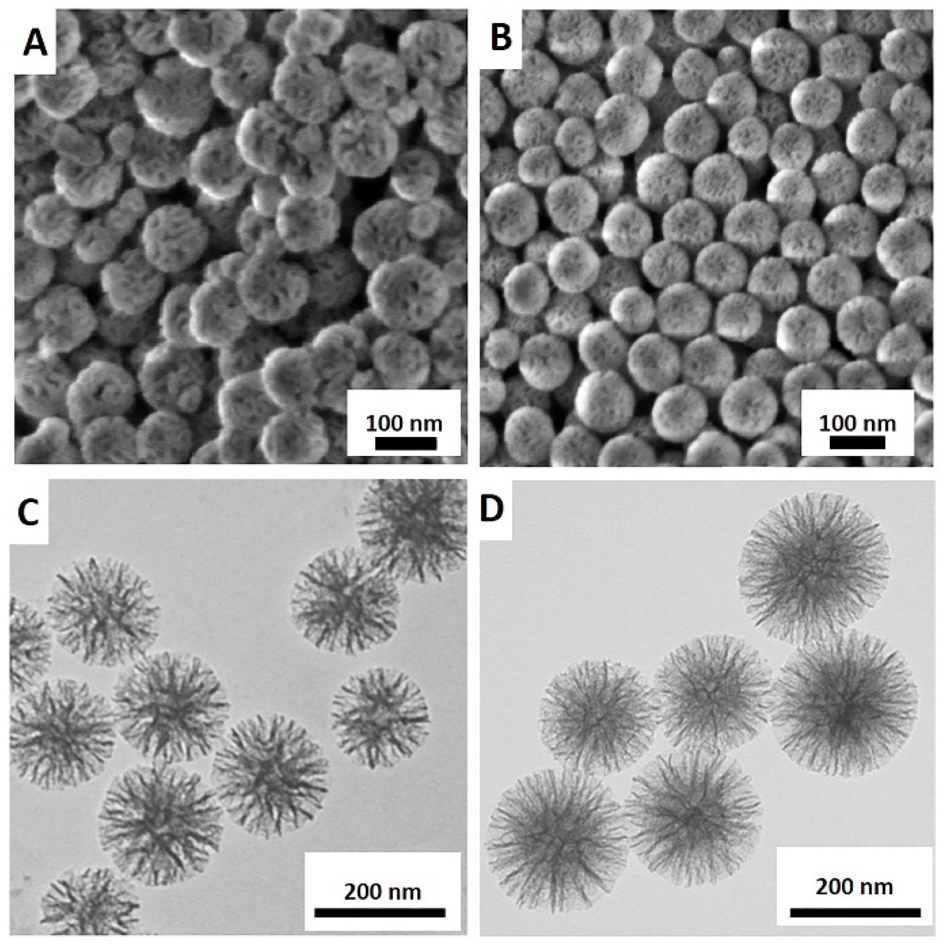 Pharmaceutics 15 01037 g002 Pharmaceutics 15 01037 g002