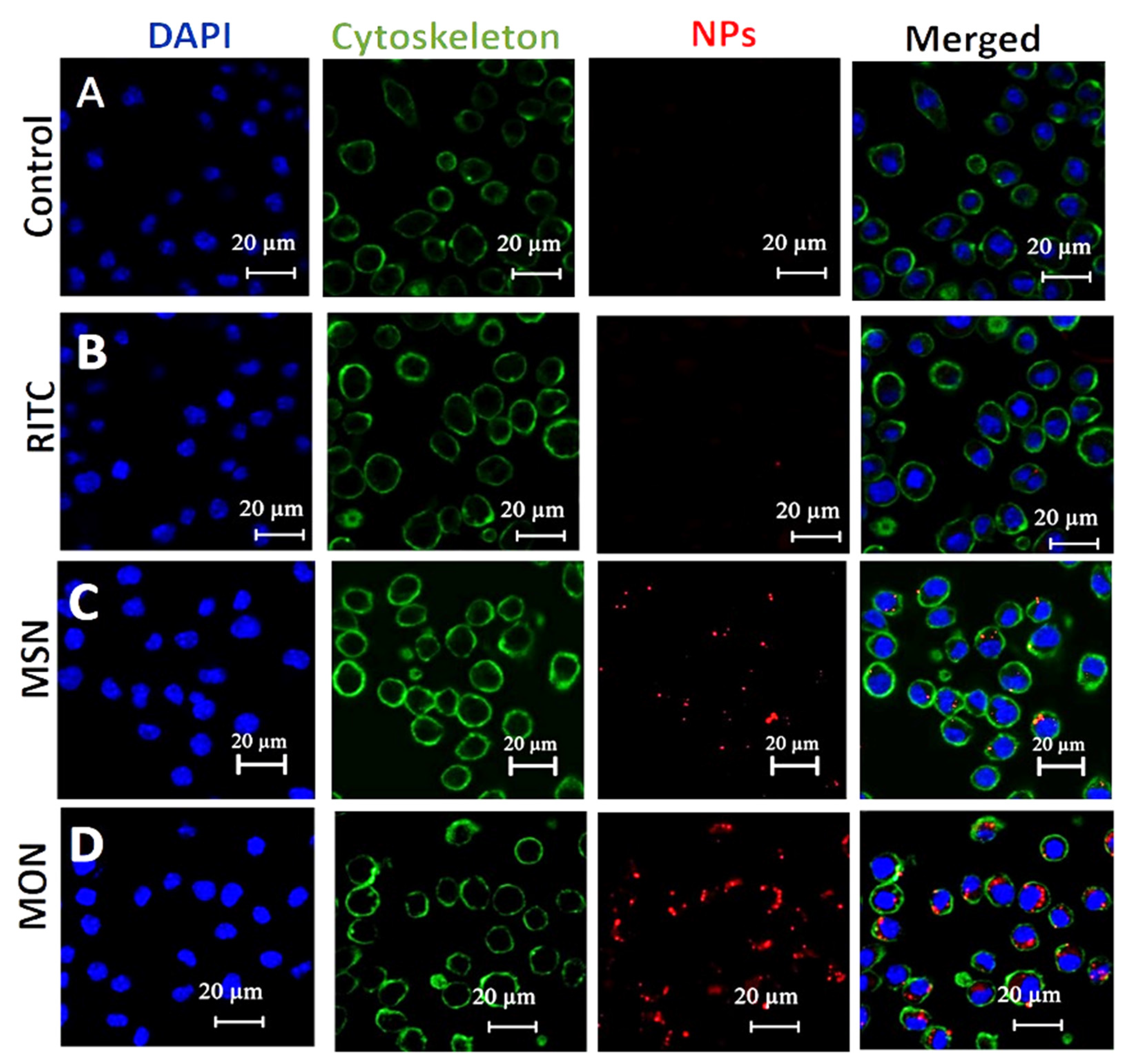 Pharmaceutics 15 01037 g005 Pharmaceutics 15 01037 g005
