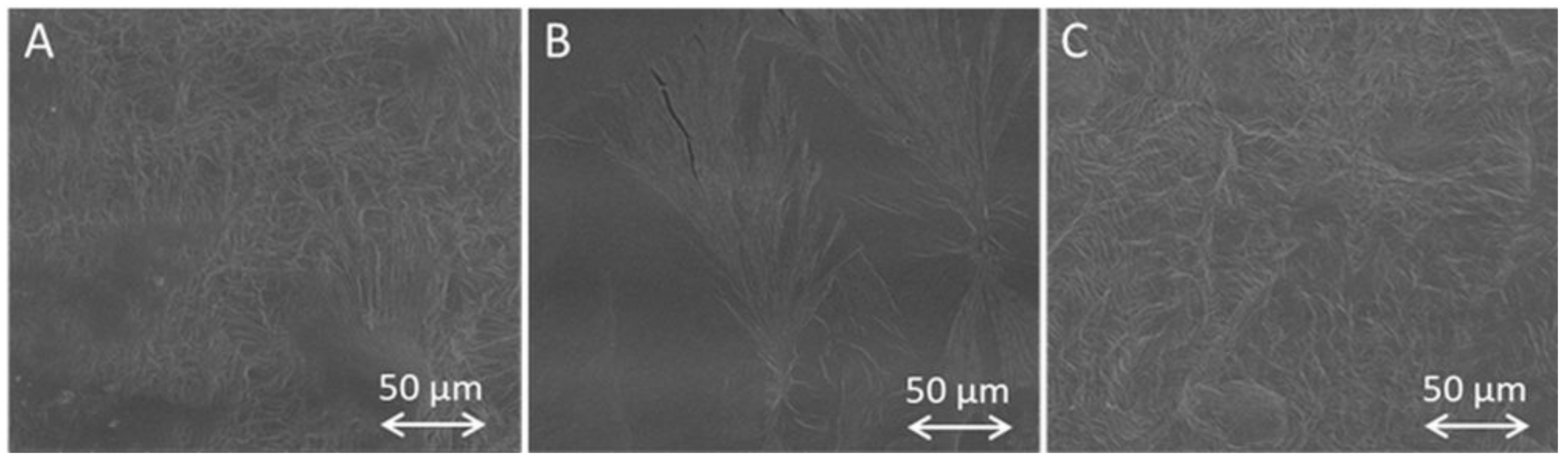 Pharmaceutics 15 01039 g003 Pharmaceutics 15 01039 g003