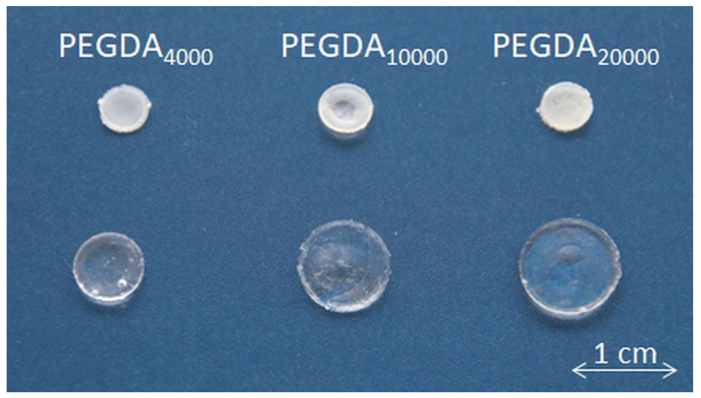 Pharmaceutics 15 01039 g006 Pharmaceutics 15 01039 g006