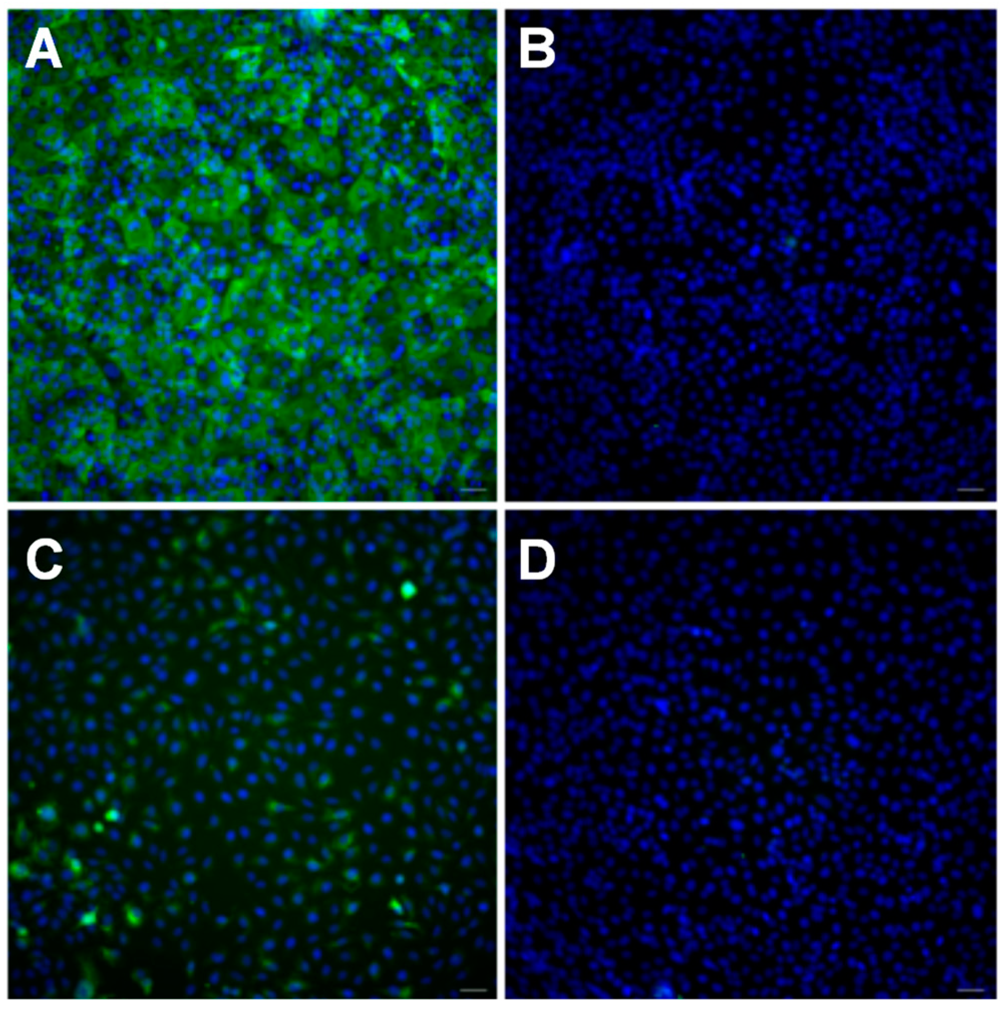 Pharmaceutics 15 01041 g007