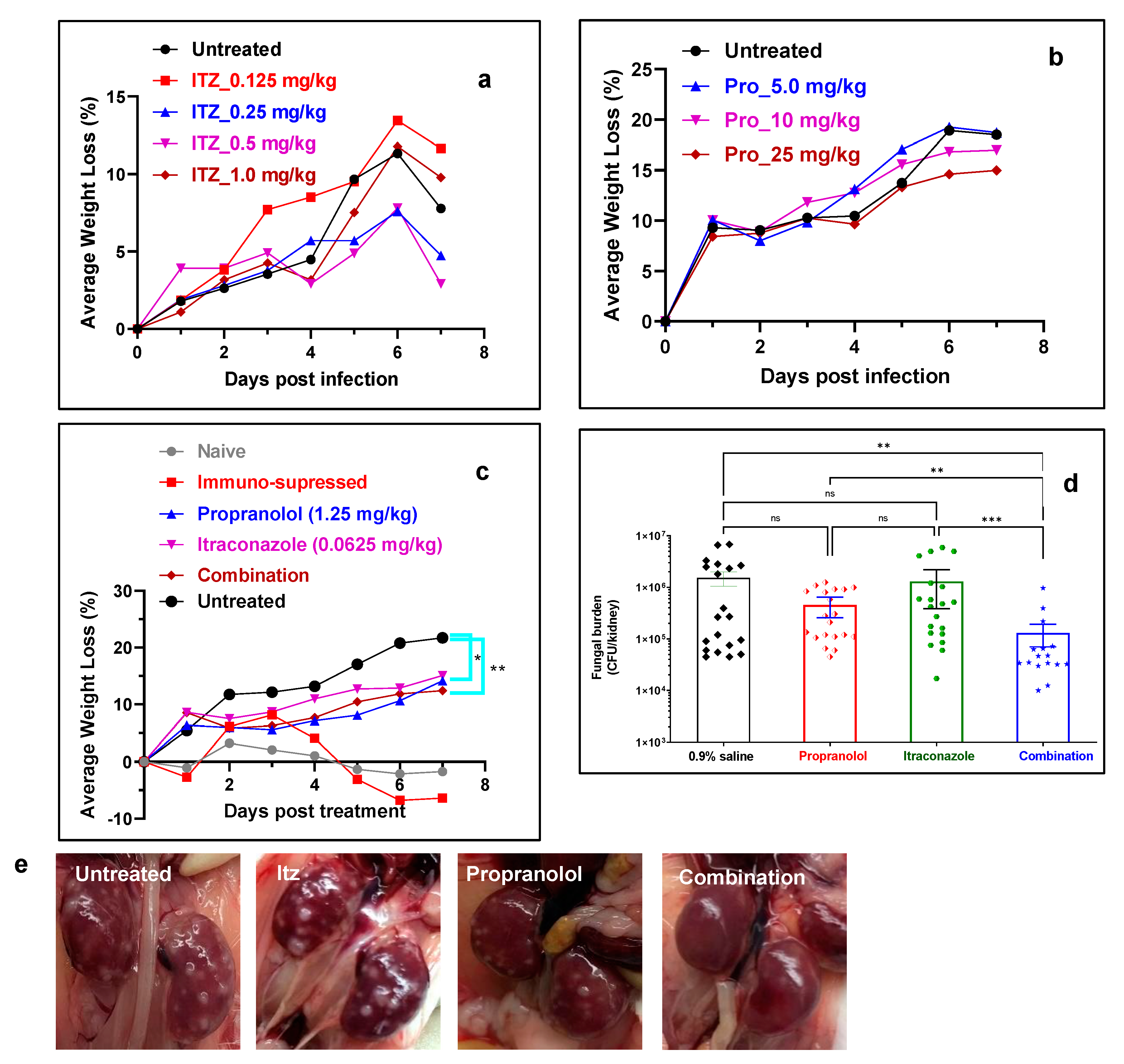 Pharmaceutics 15 01044 g005 Pharmaceutics 15 01044 g005